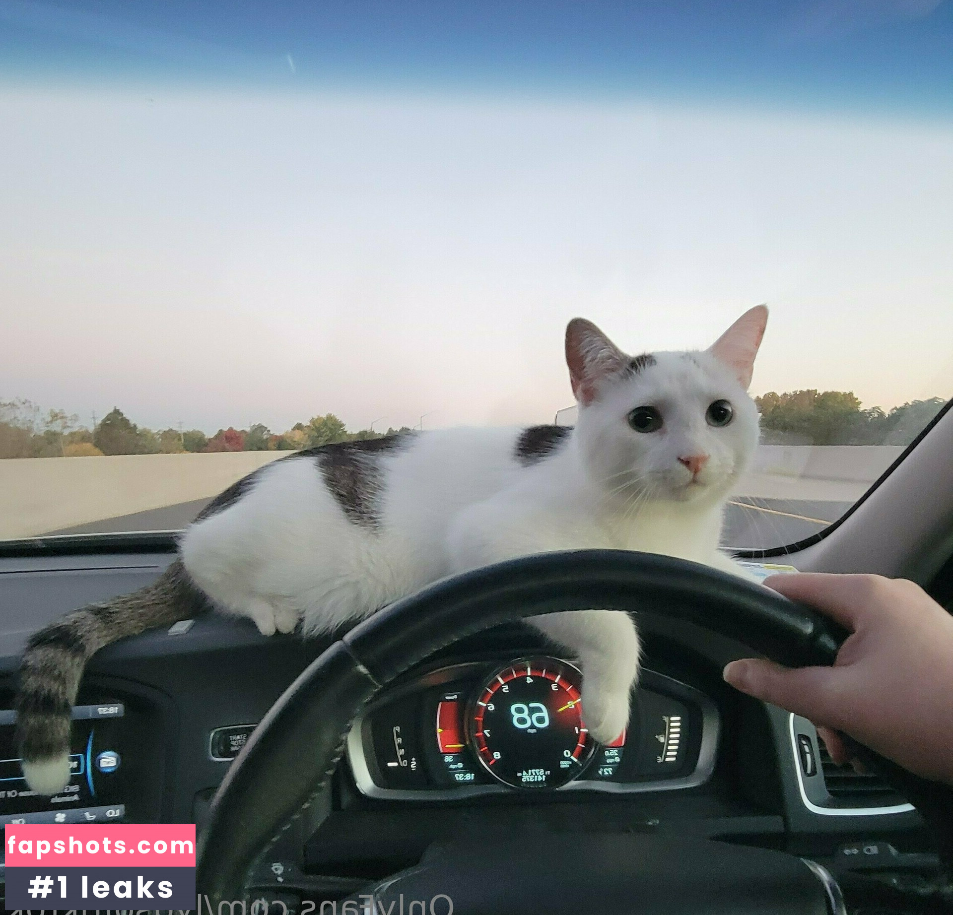 lydsoftiktok Filtración Desnuda OnlyFans Foto #4 - Fapshots