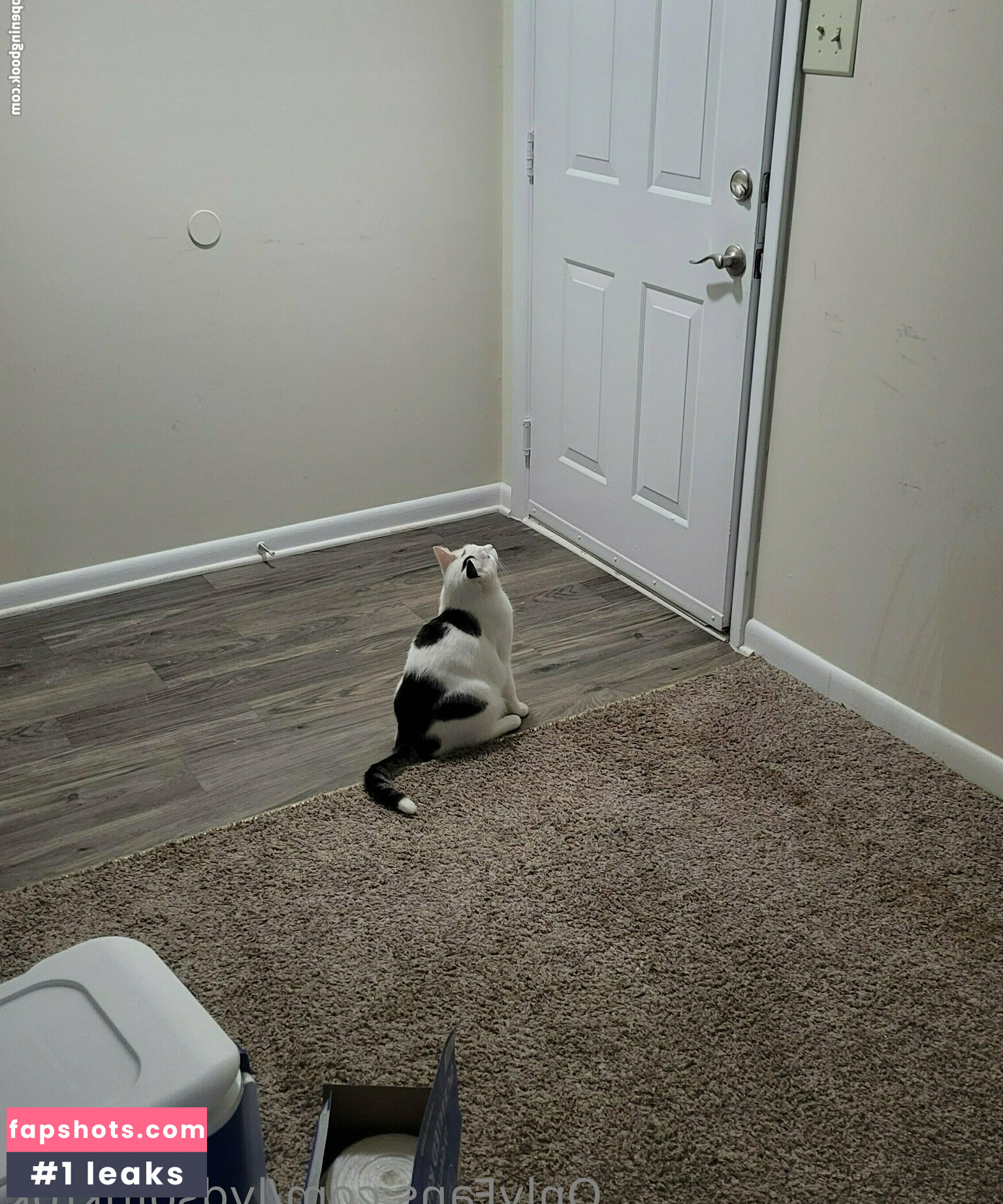 lydsoftiktok Filtración Desnuda OnlyFans Foto #6 - Fapshots