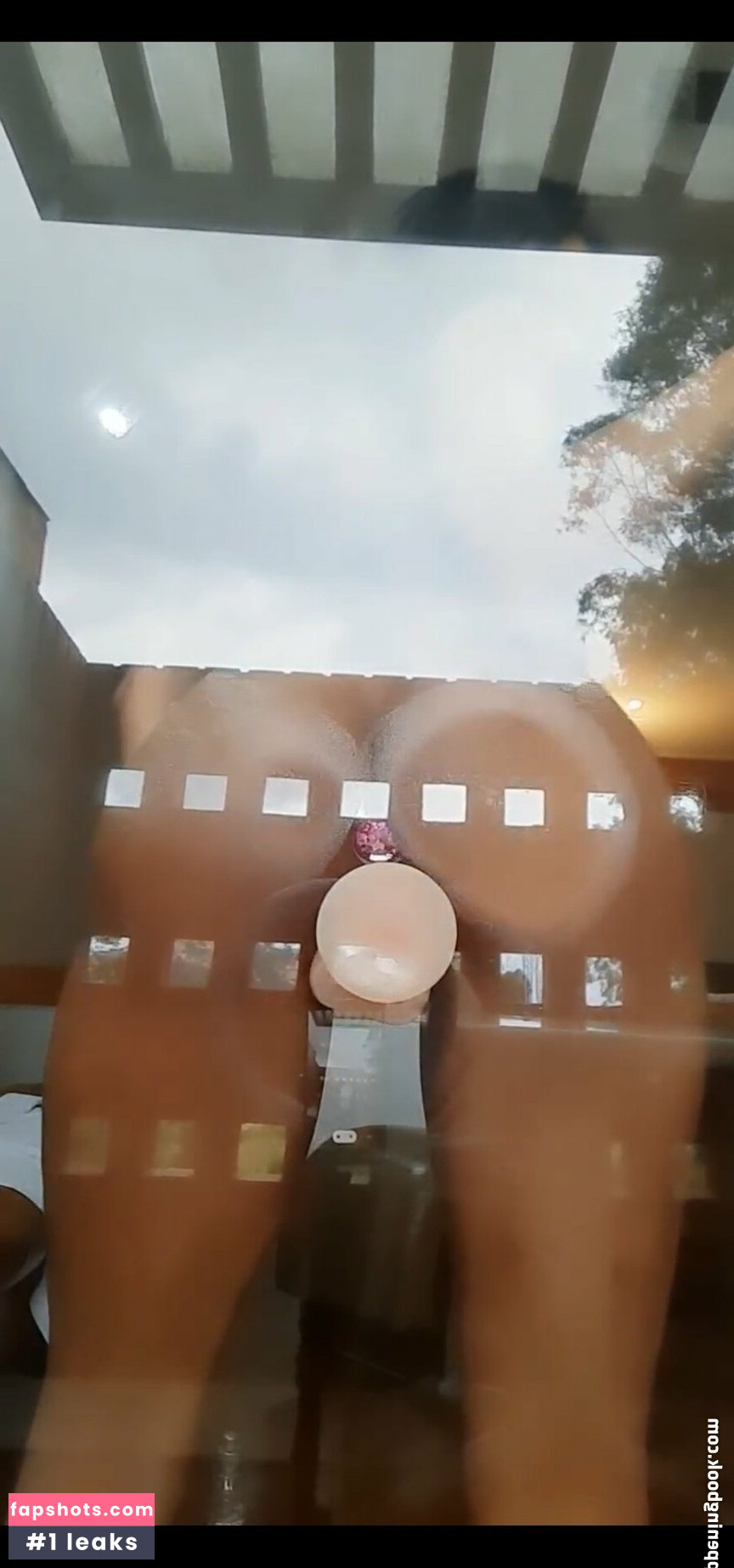 LYS gallery photo #36