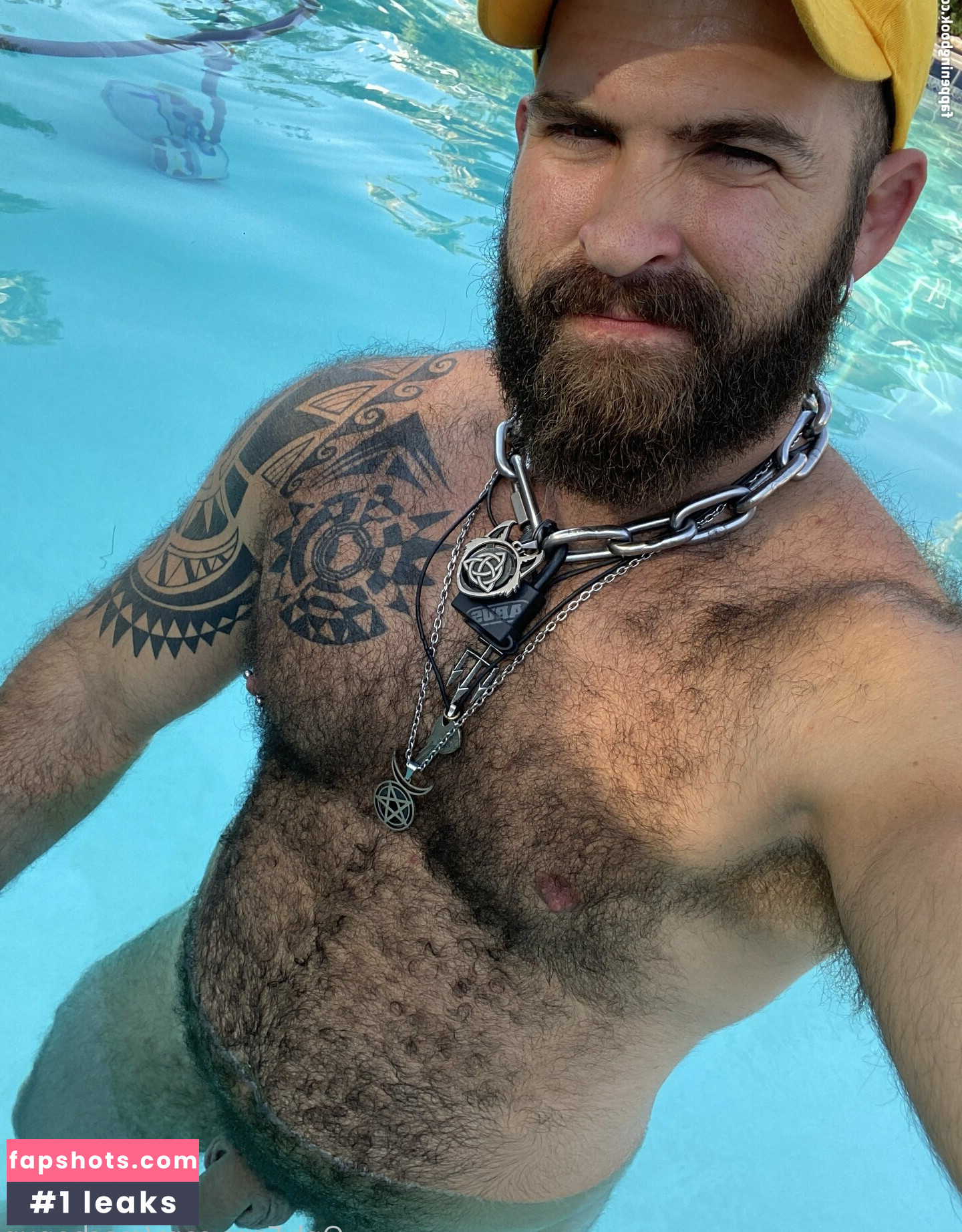 machopup gallery photo #12