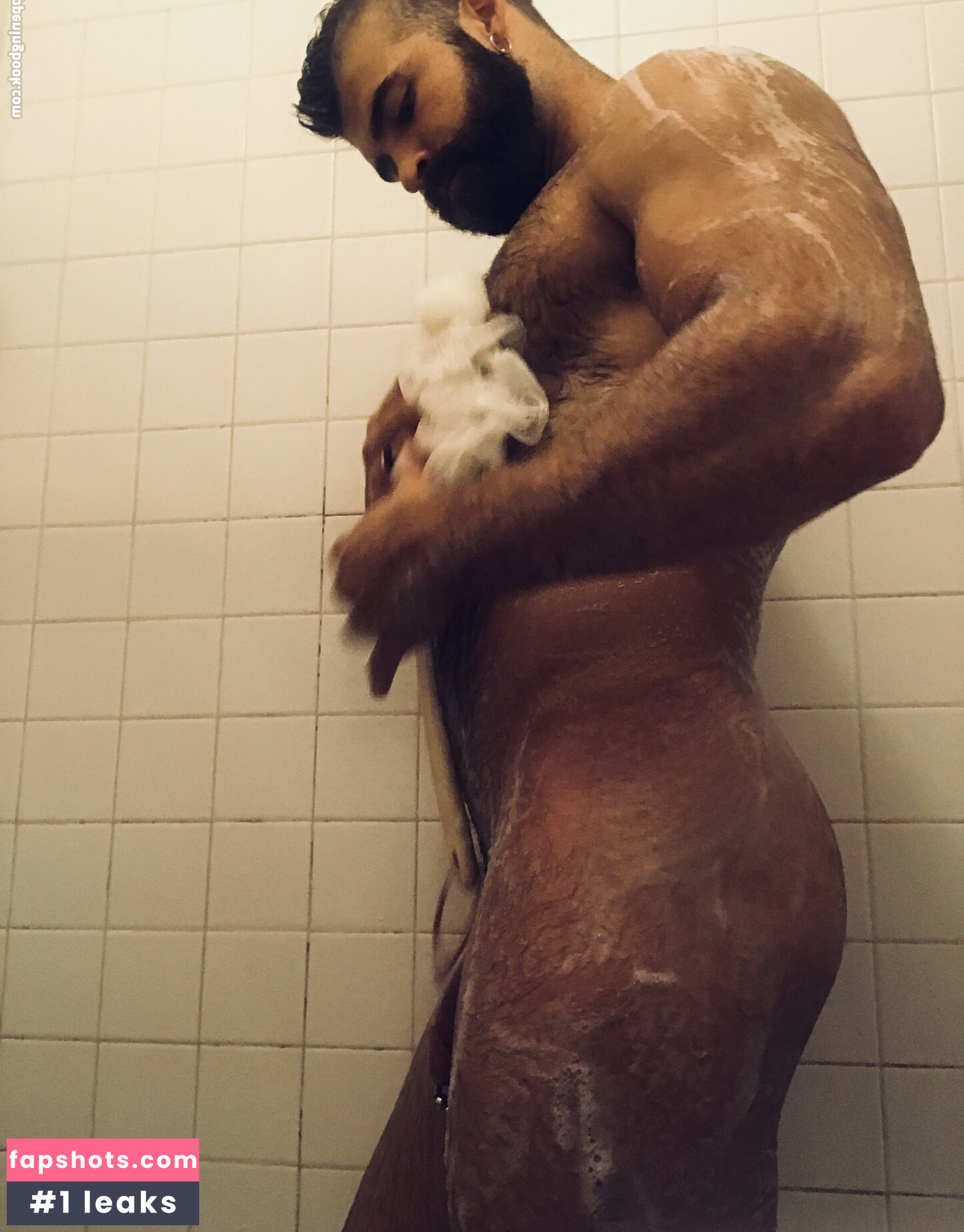 machopup gallery photo #14