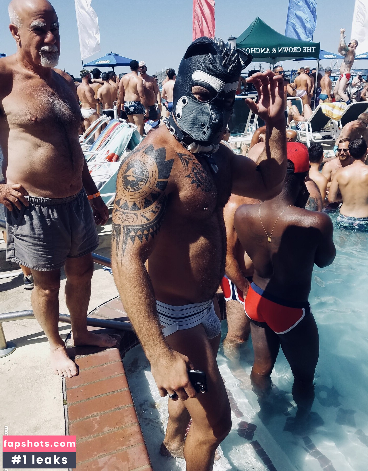 machopup gallery photo #16