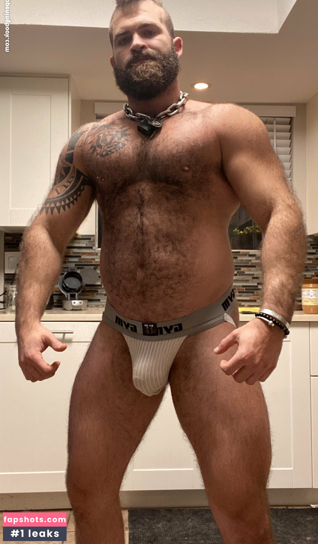 machopup gallery photo #20