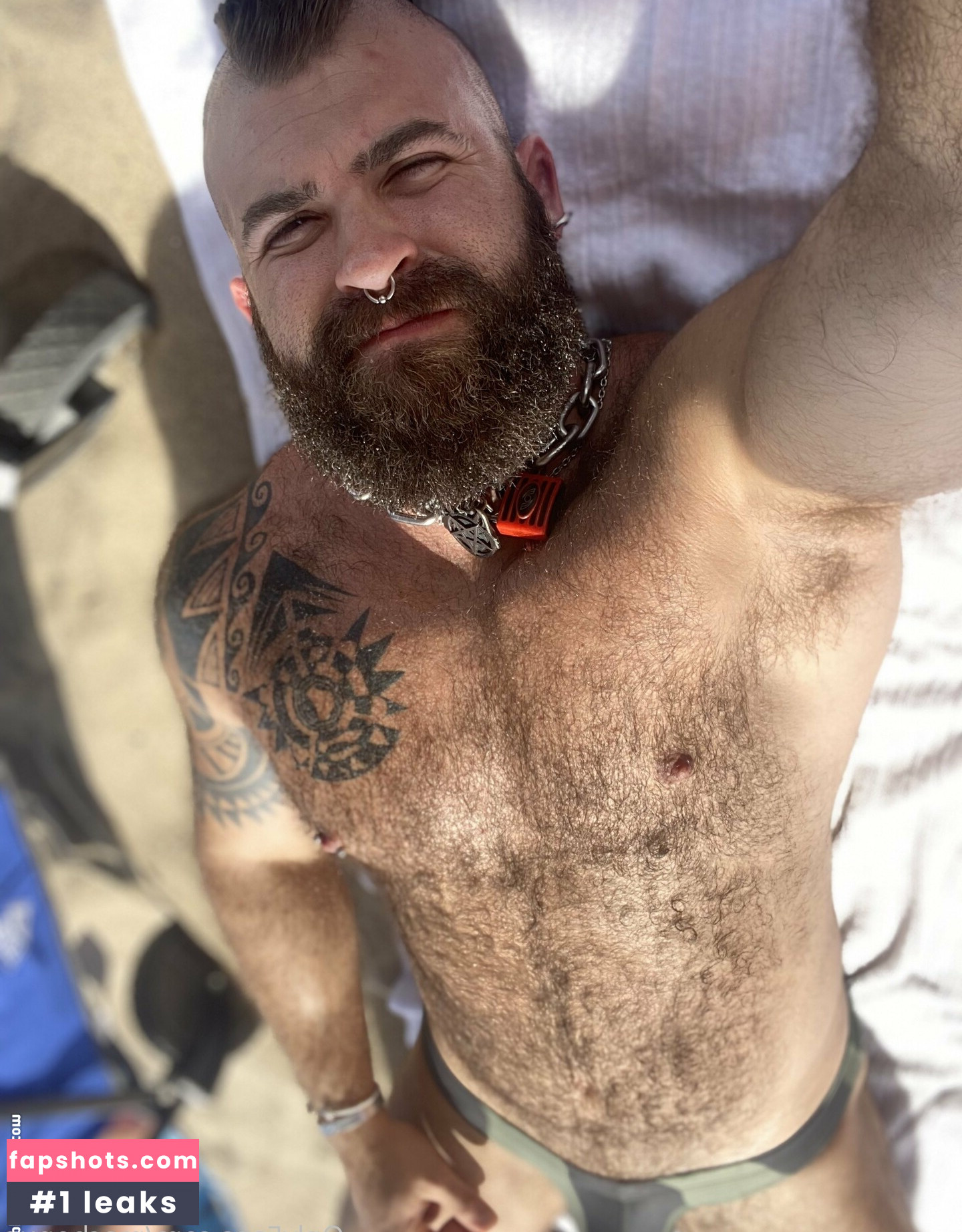 machopup gallery photo #26