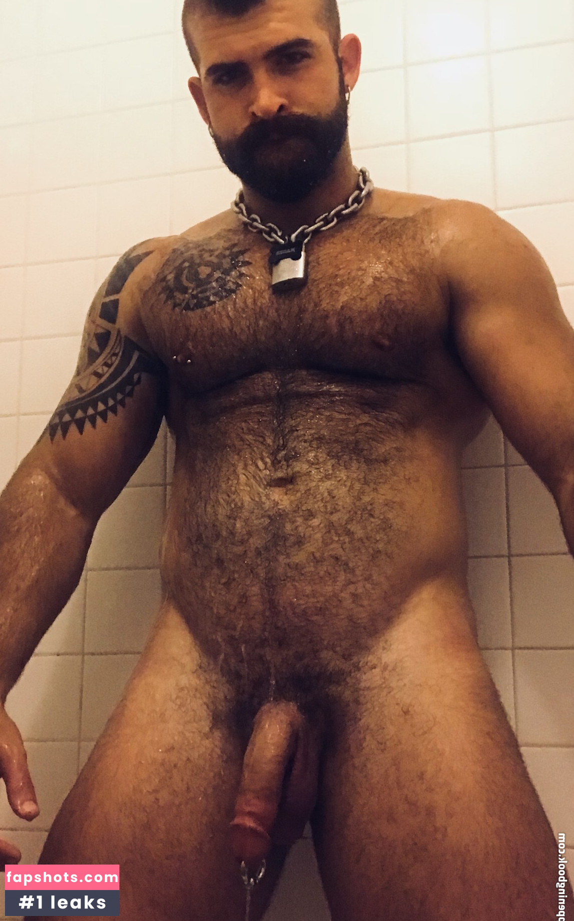 machopup gallery photo #27