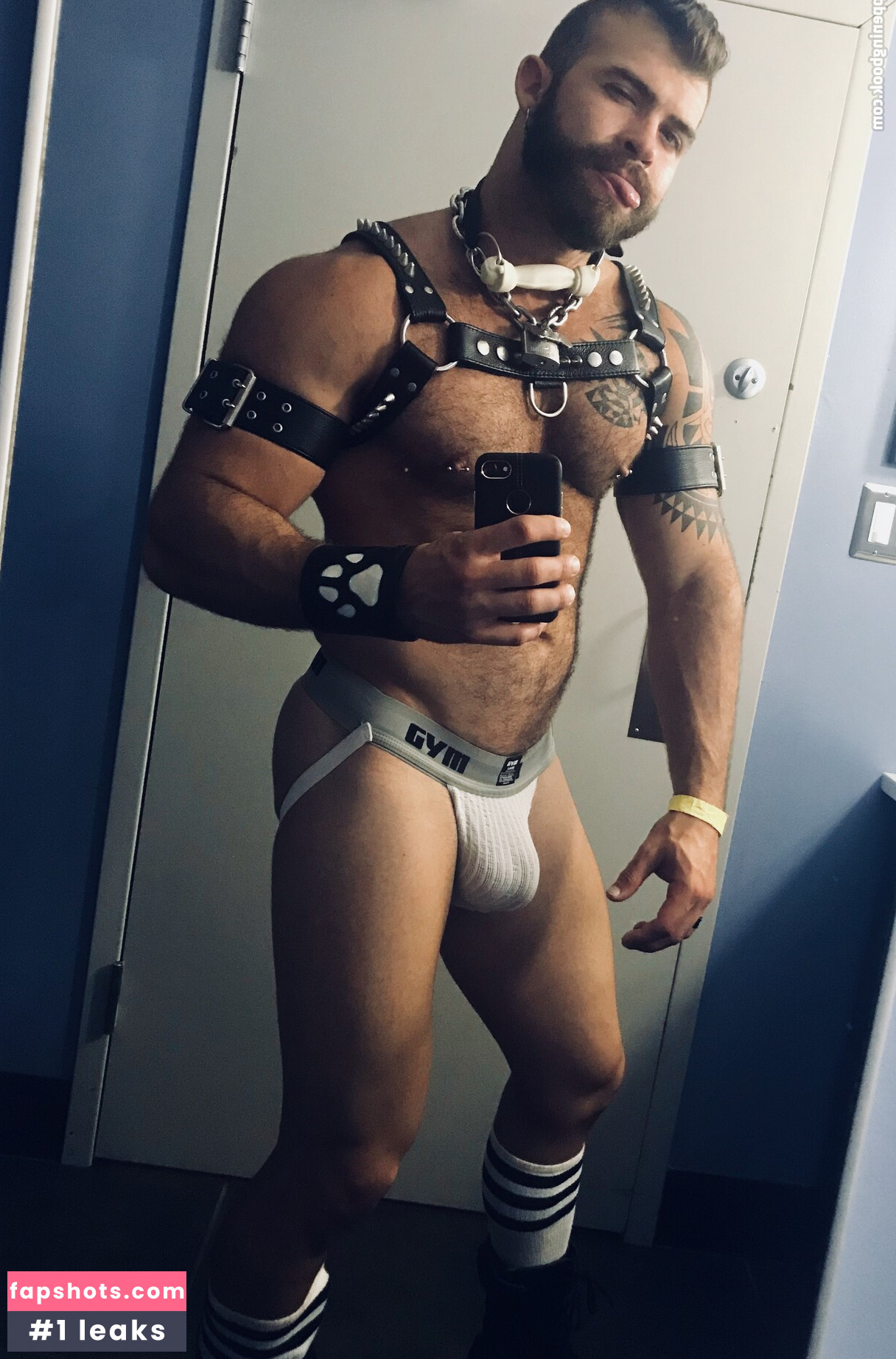 machopup gallery photo #8