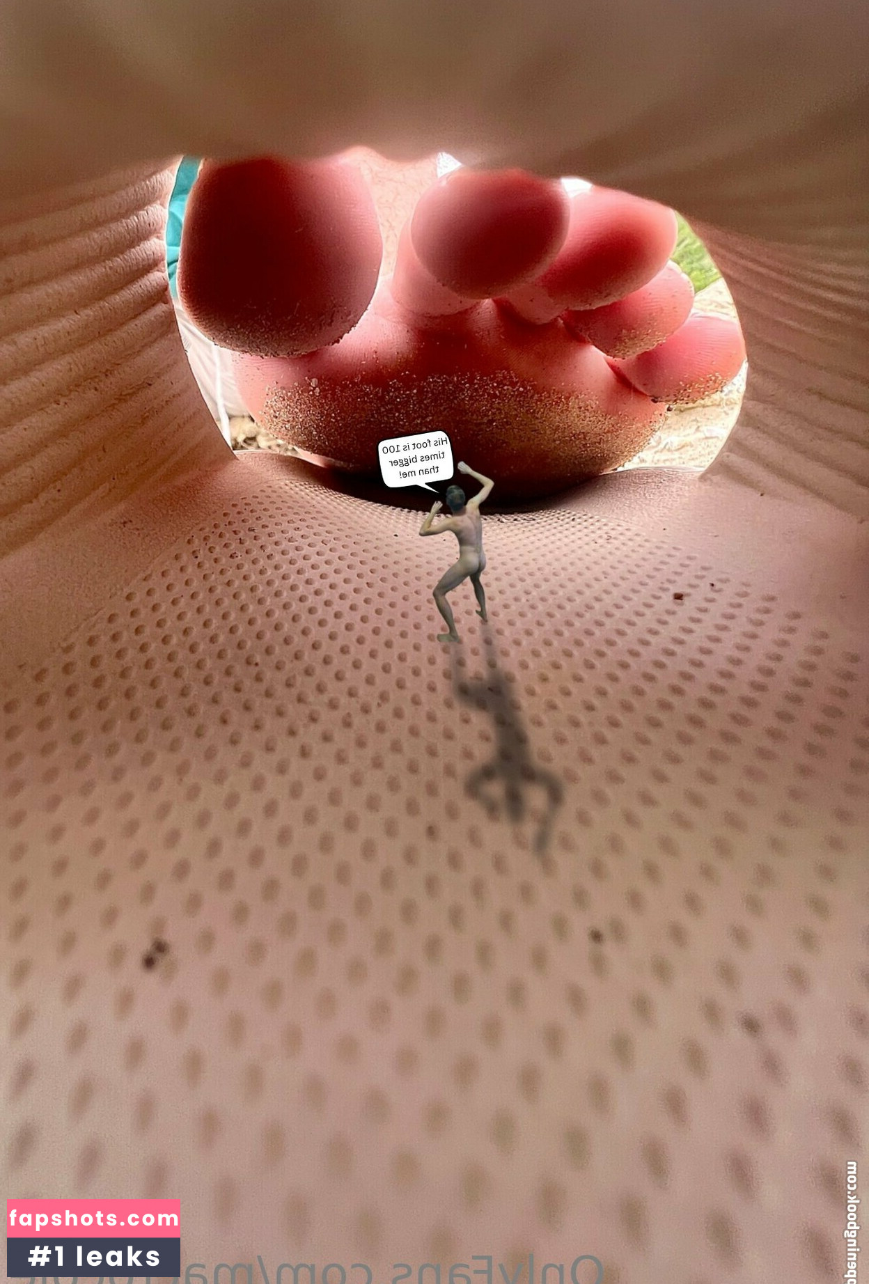 macrocole gallery photo #16