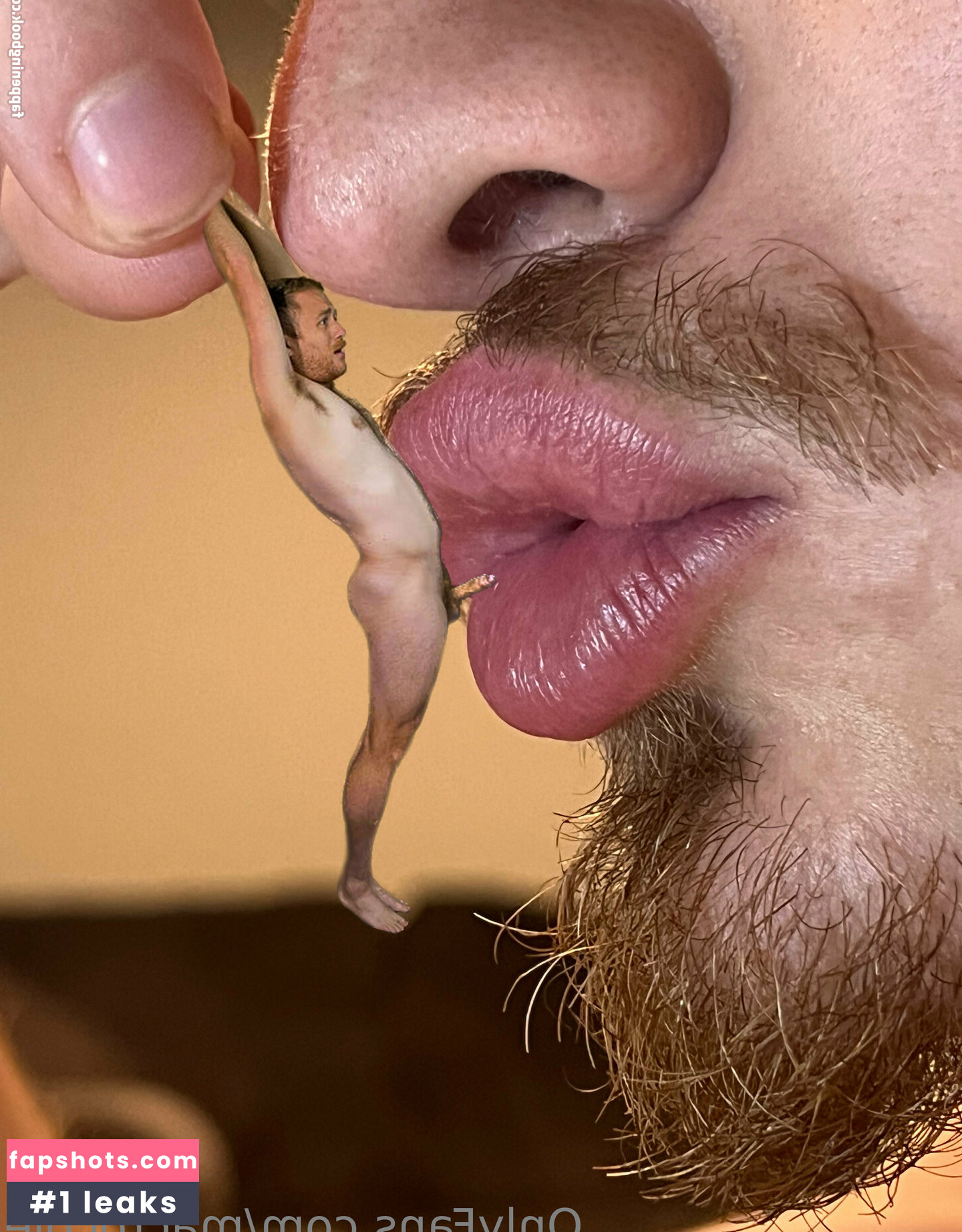 macrocole gallery photo #17