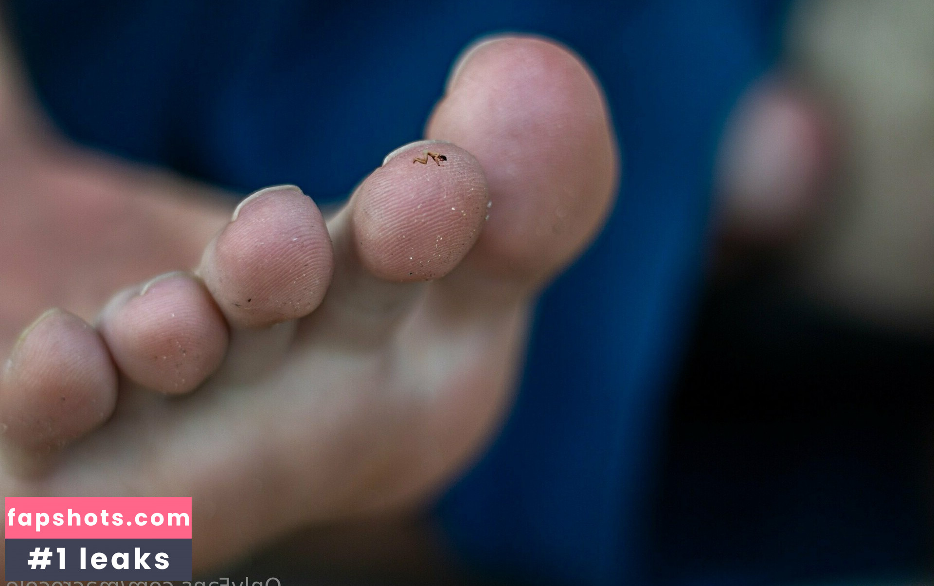 macrocole gallery photo #19