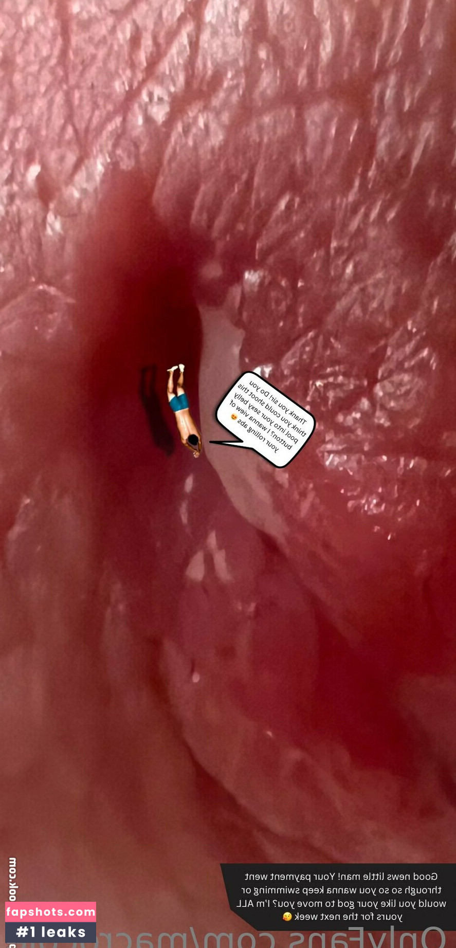 macrocole gallery photo #20