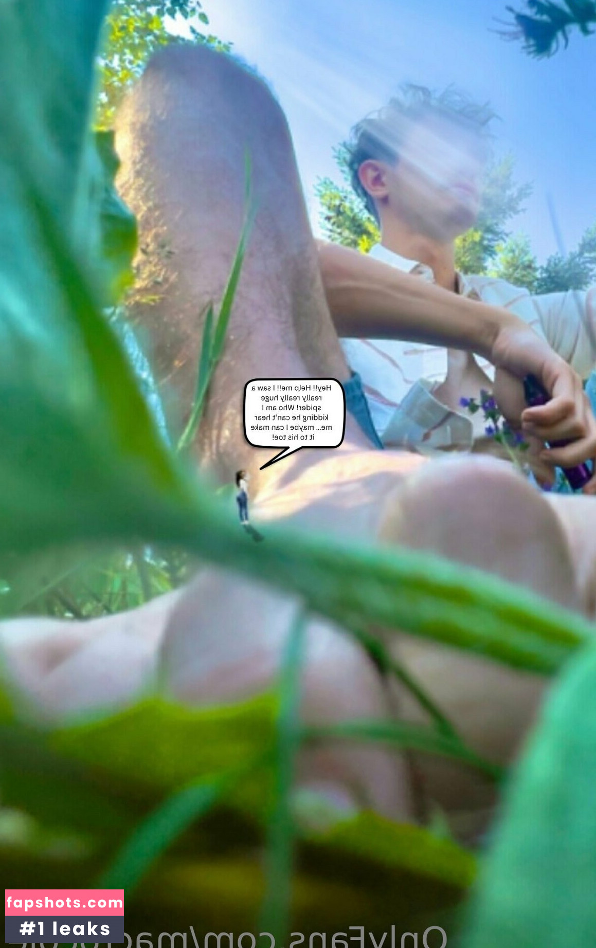 macrocole gallery photo #3