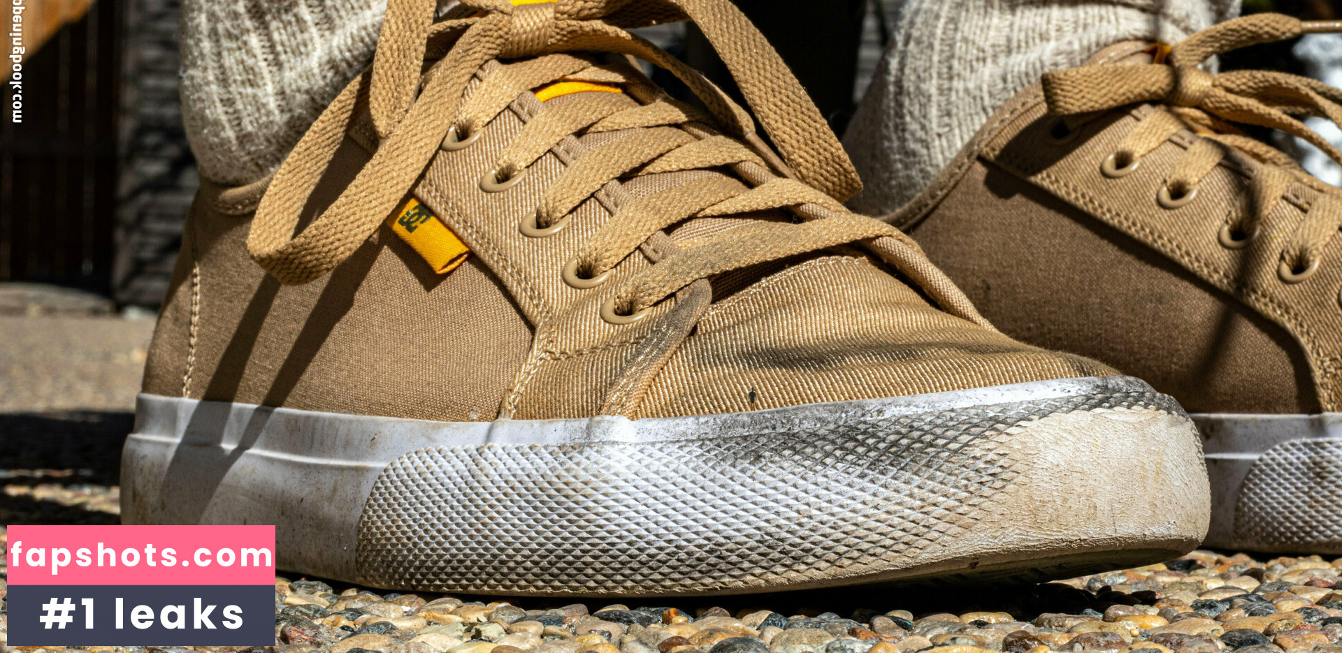 macrocole gallery photo #22