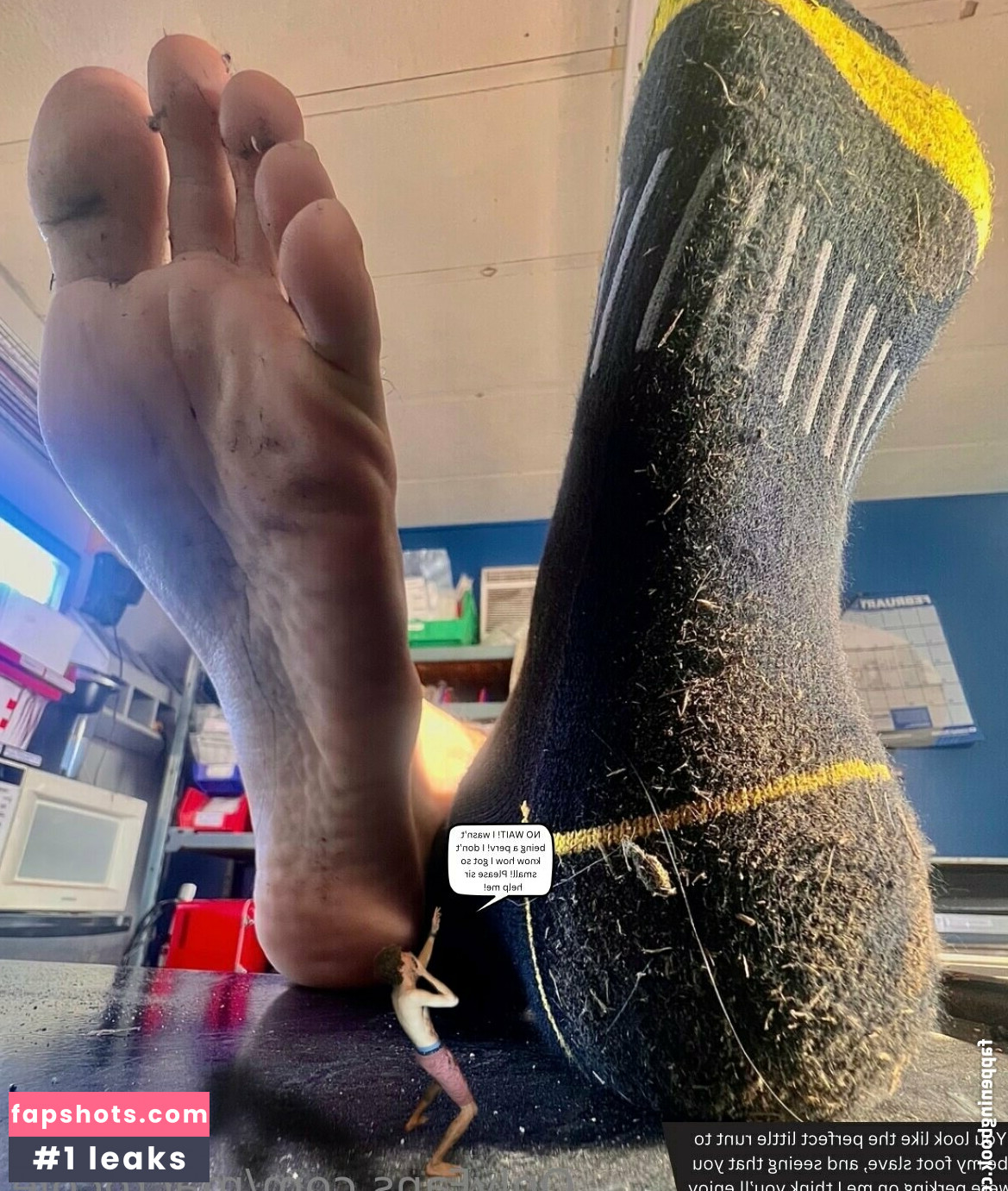 macrocole gallery photo #25