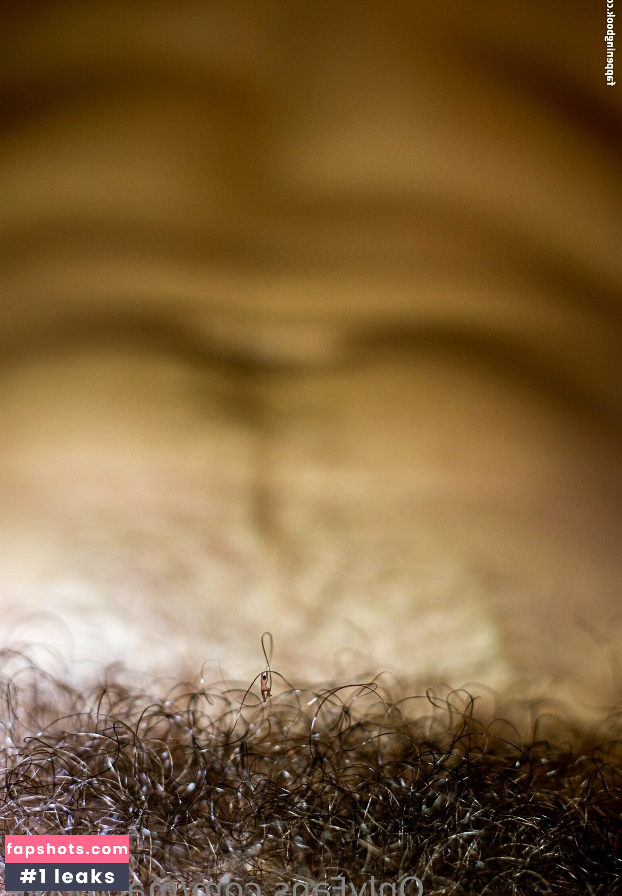 macrocole gallery photo #26