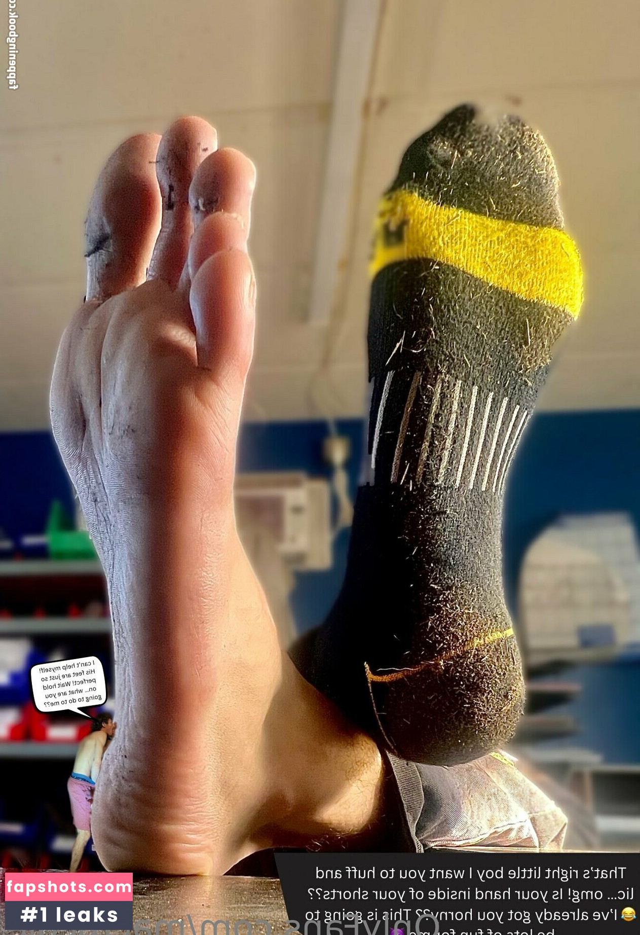 macrocole gallery photo #27