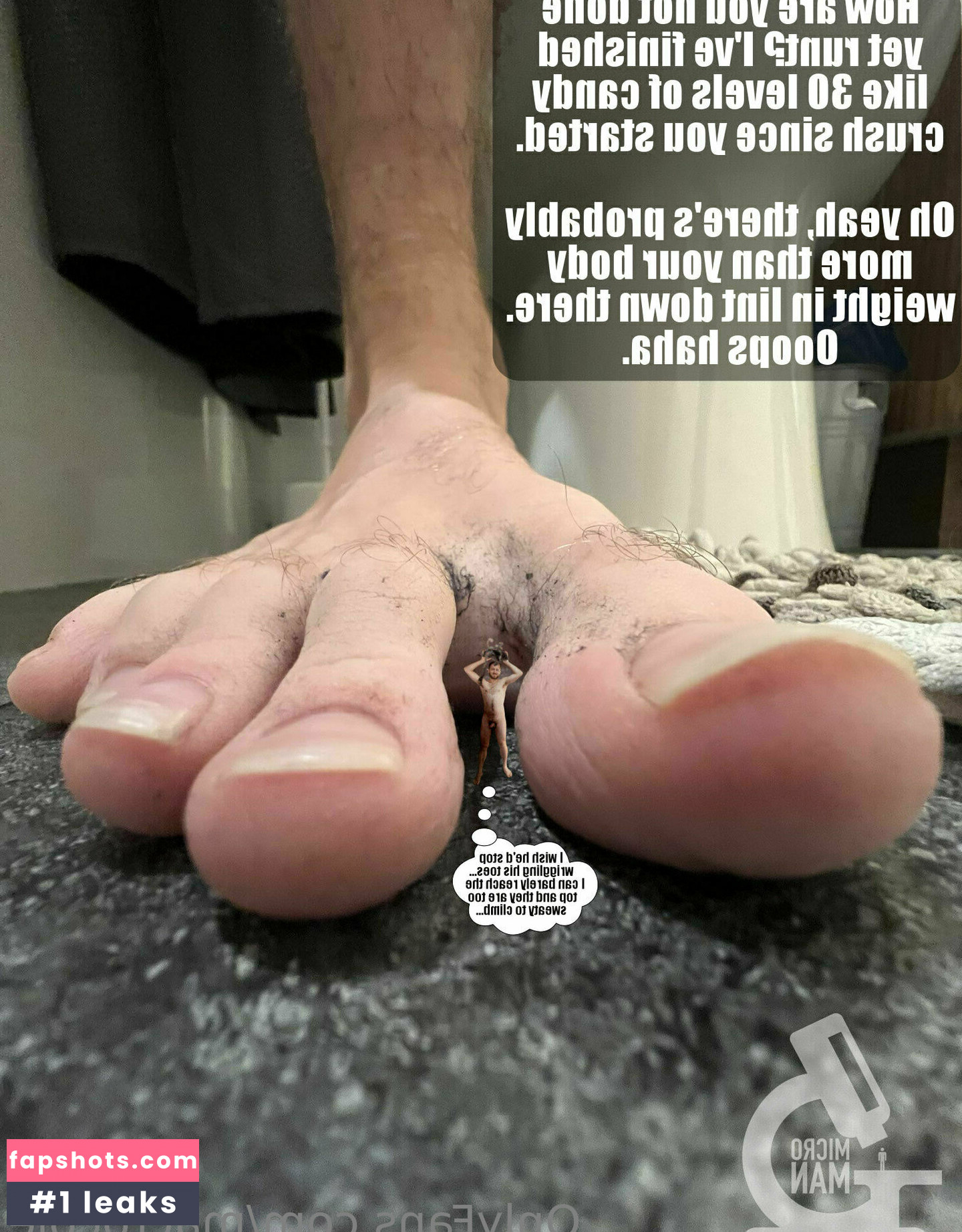 macrocole gallery photo #30