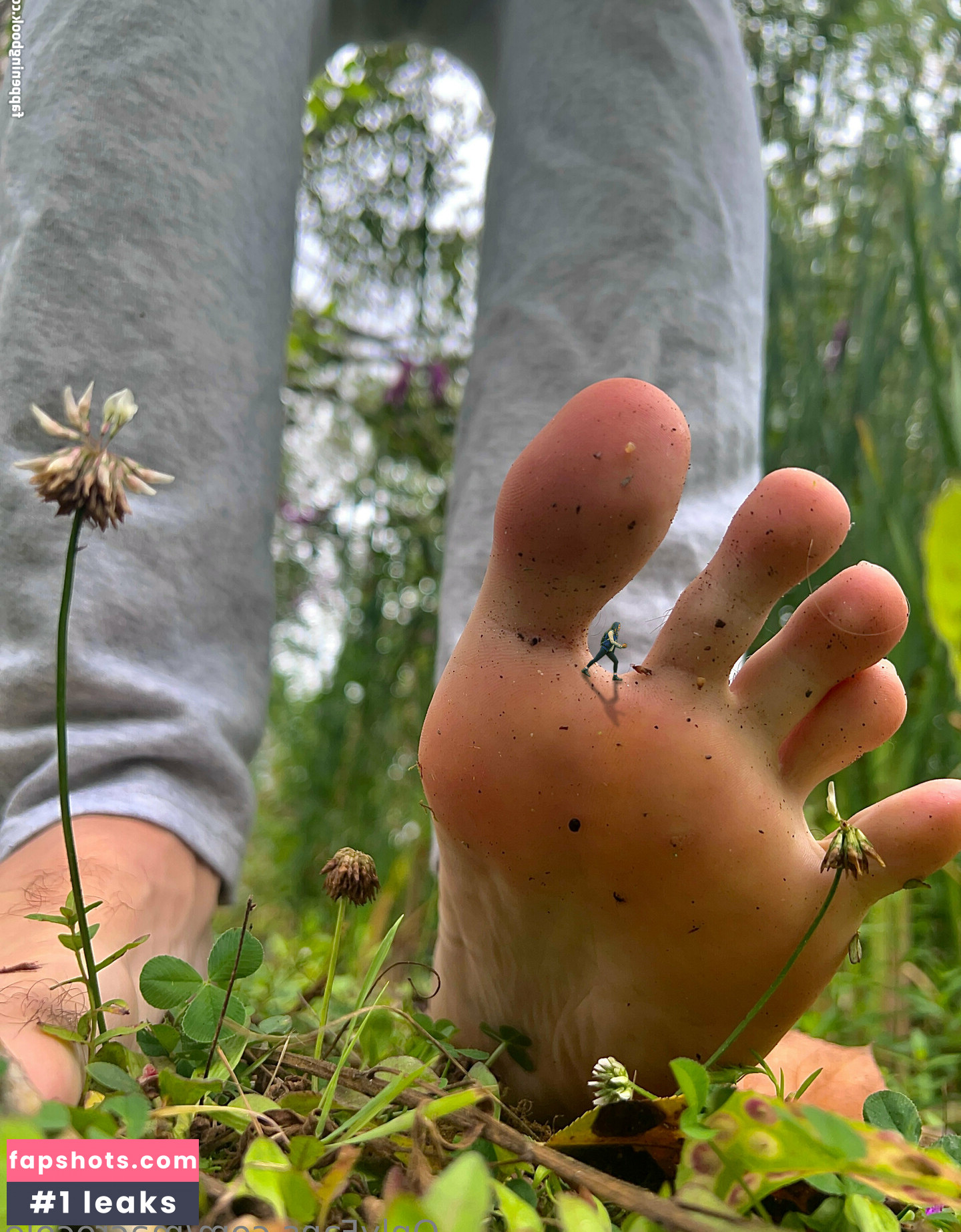 macrocole gallery photo #4