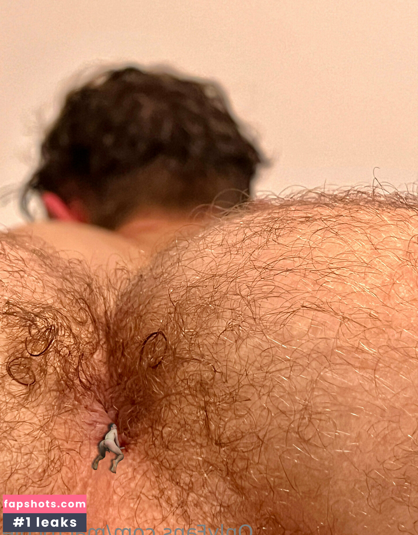 macrocole gallery photo #5