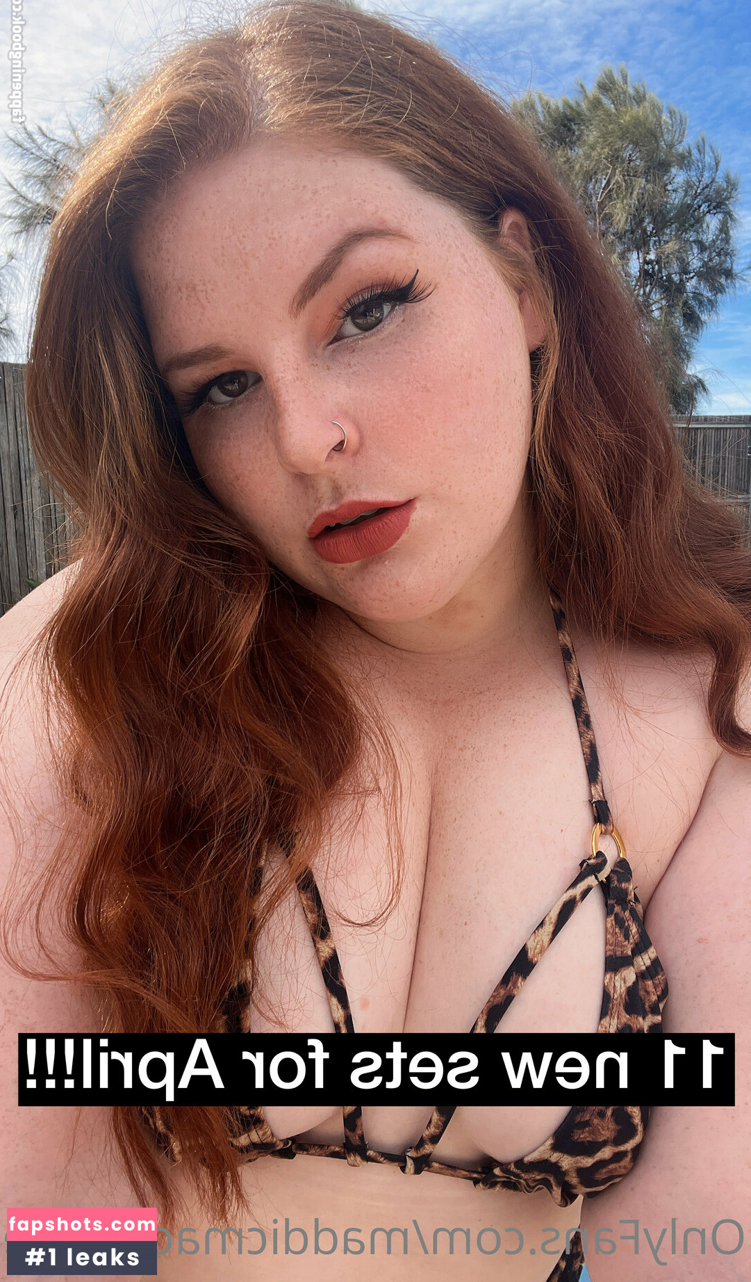 maddicmaddyfree gallery photo #10