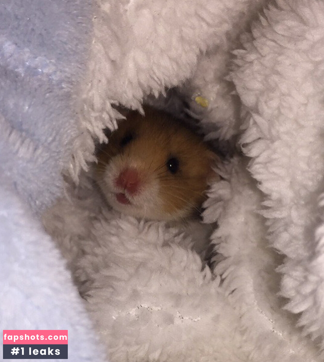 Maddison Denholm gallery photo #9