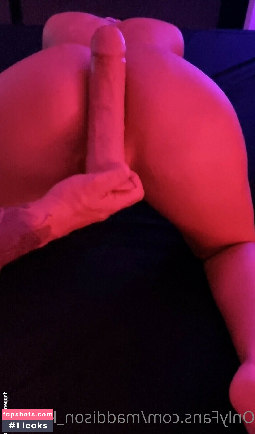 Maddison Knox gallery photo #29