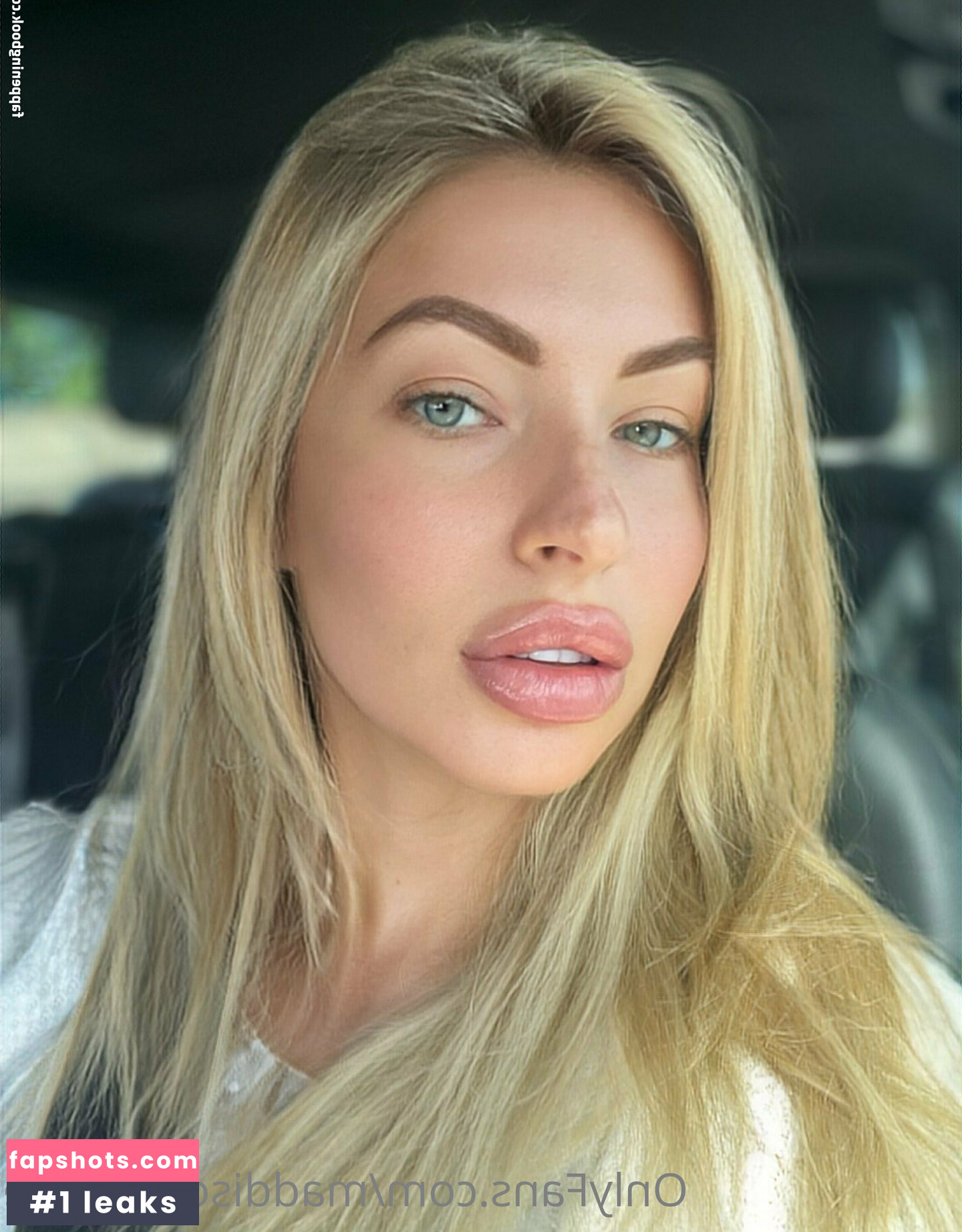 maddisonfoxfree Nacktheit OnlyFans Fotos #6 - Fapshots