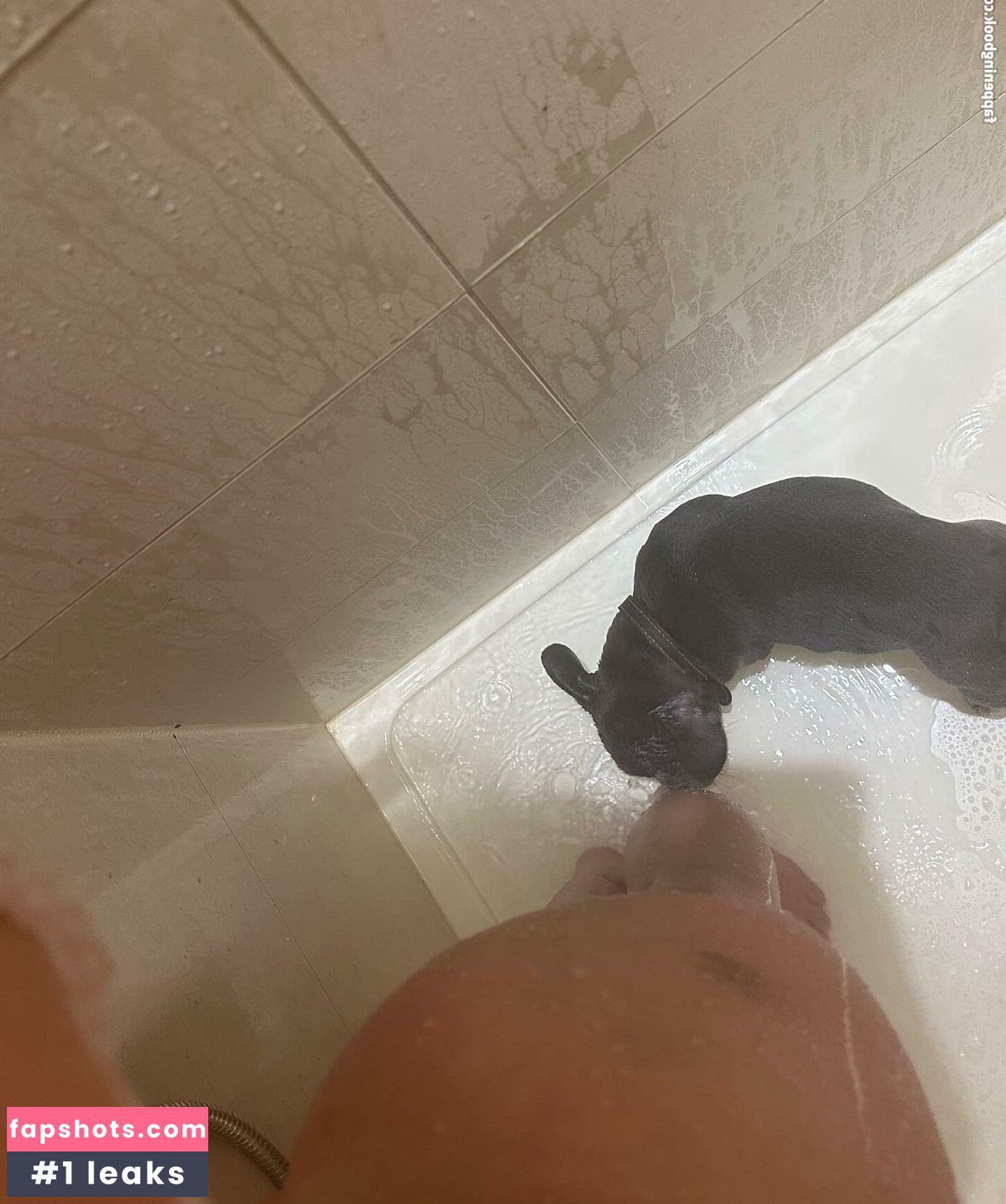 Madeline Argy gallery photo #56