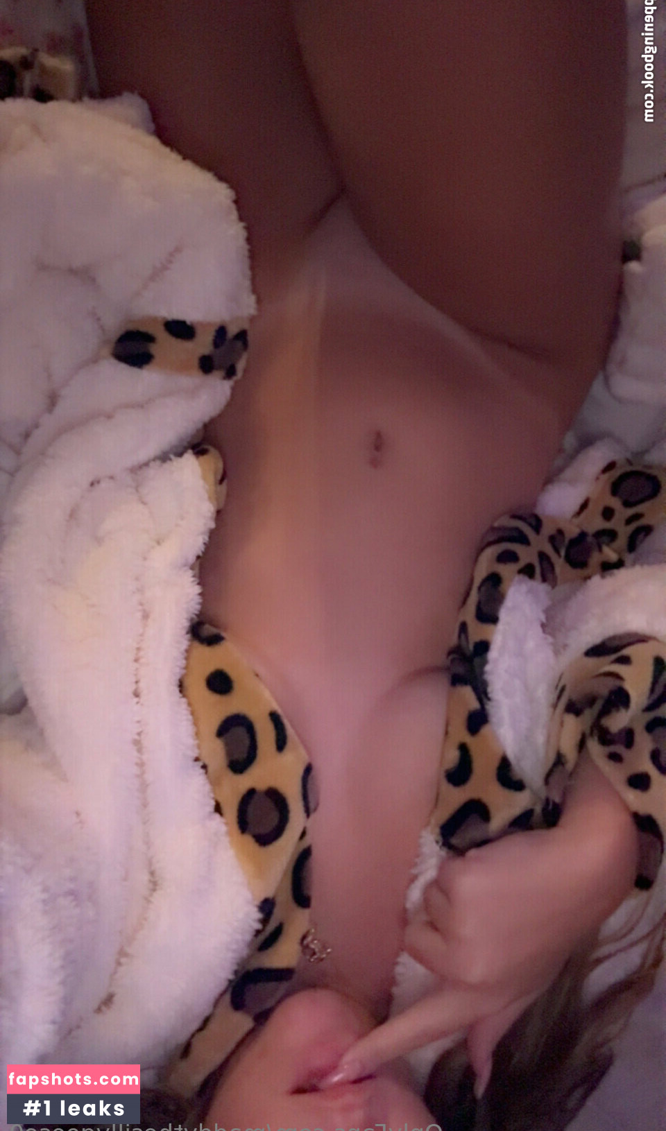 Madison Rose gallery photo #3