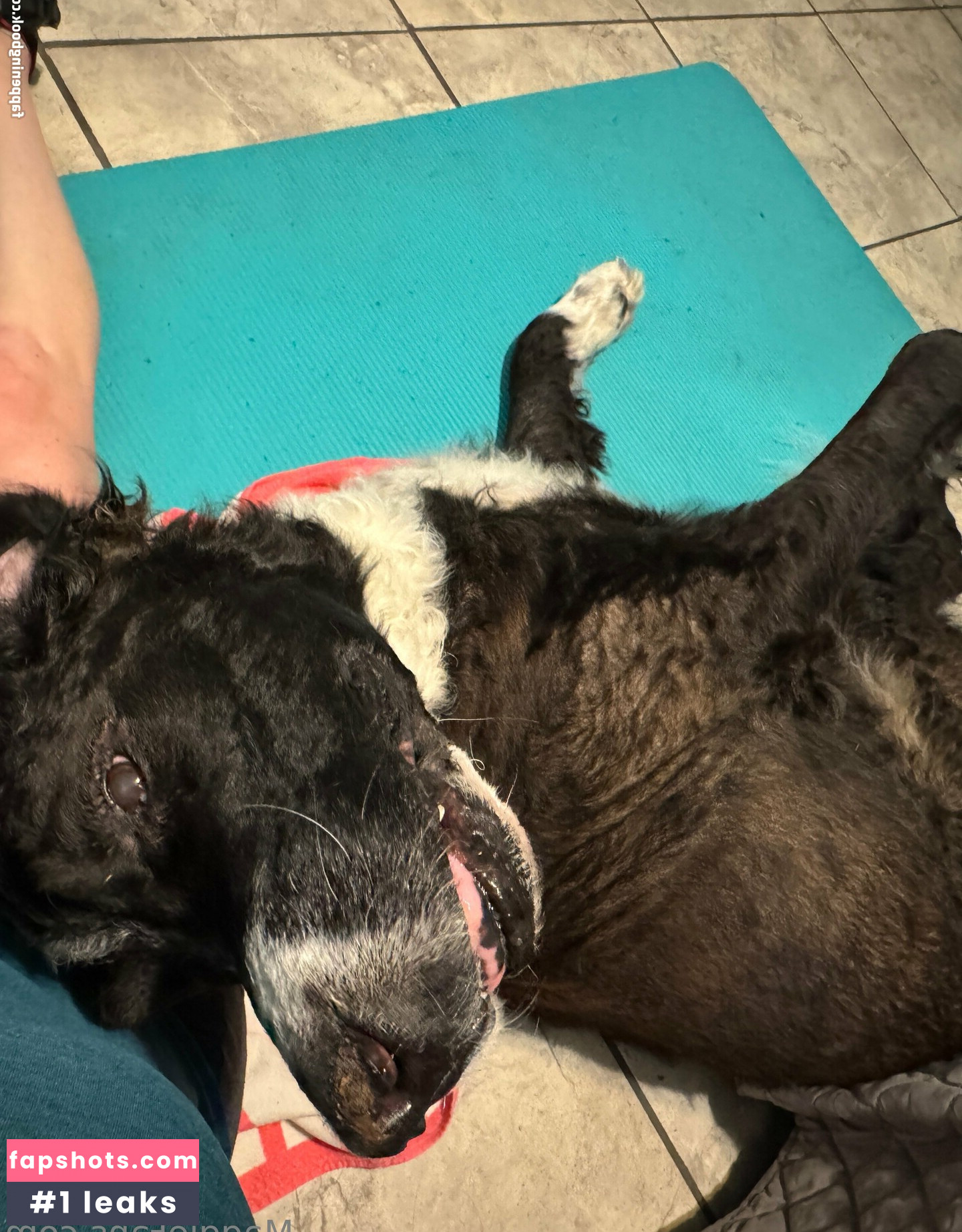 maggiegreenlive Nude Leaks OnlyFans Photos #58 - Fapshots