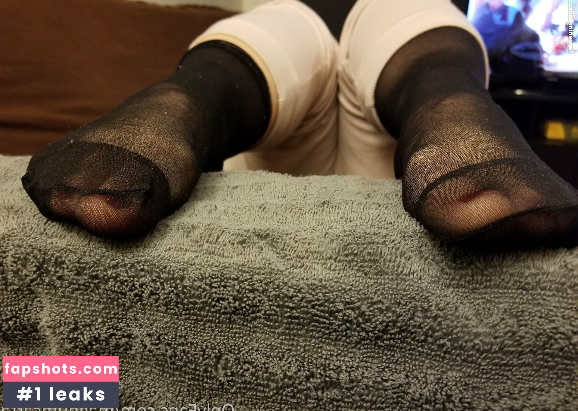 magnumcarta gallery photo #5