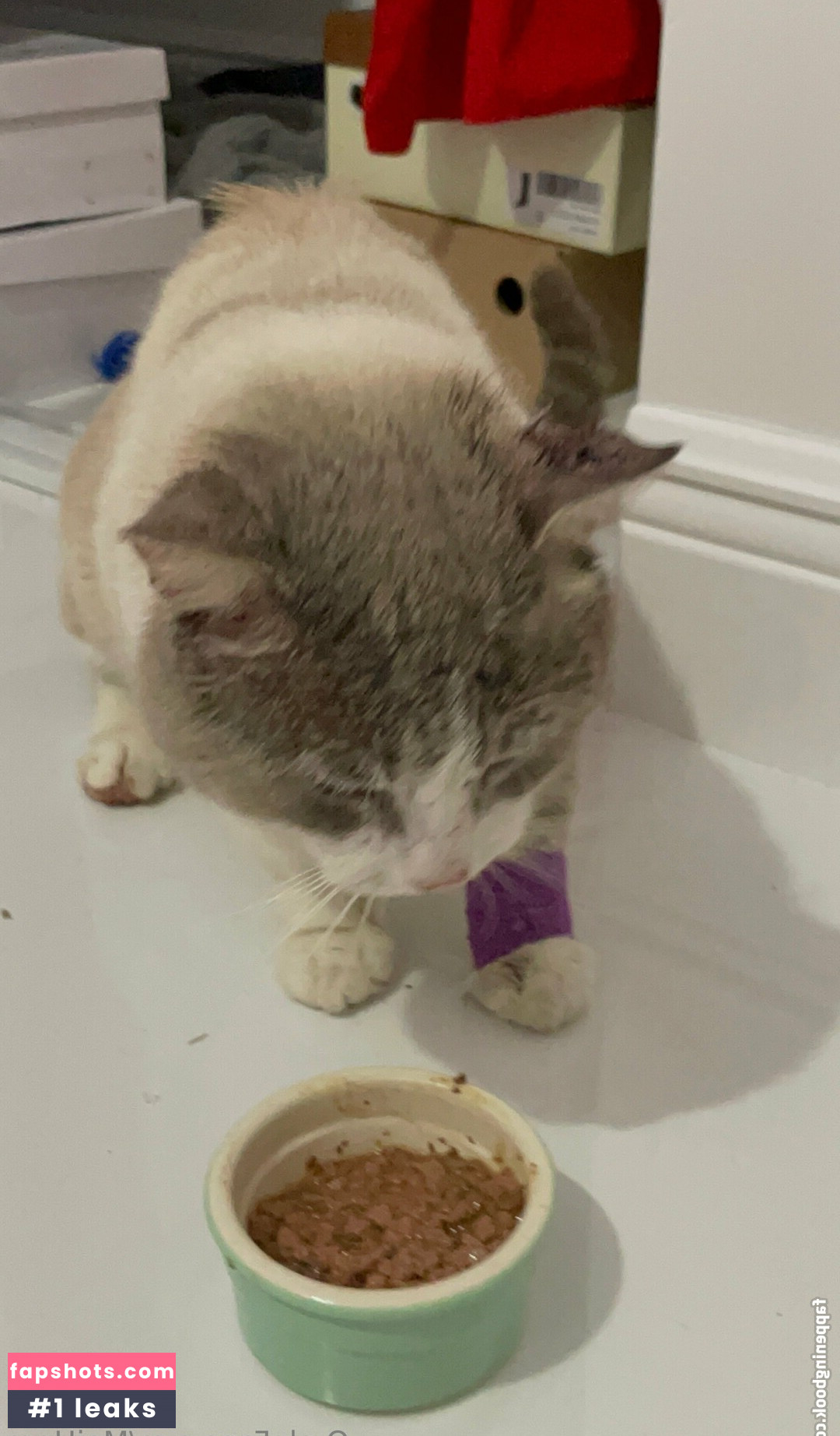 maihero Nahé úniky fotek pouze od fanoušků #24 - Fapshots