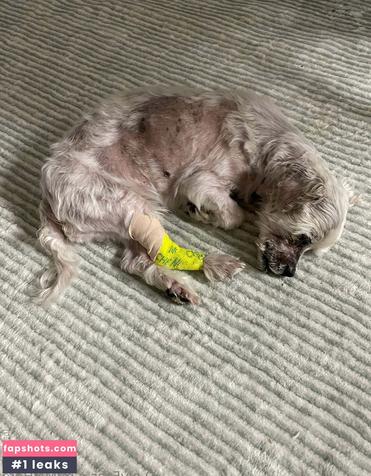 maihero Nahé úniky fotek pouze od fanoušků #25 - Fapshots