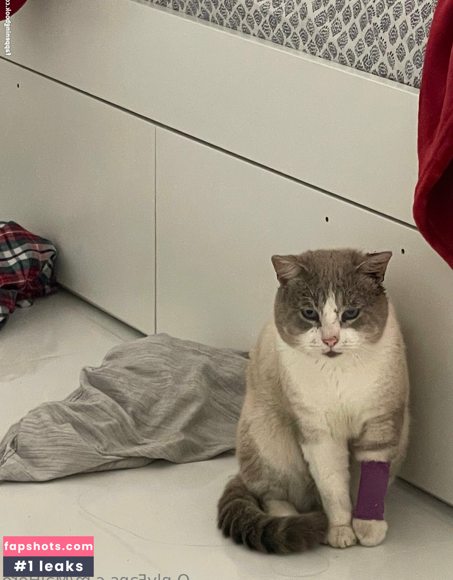 maihero Nahé úniky fotek pouze od fanoušků #26 - Fapshots