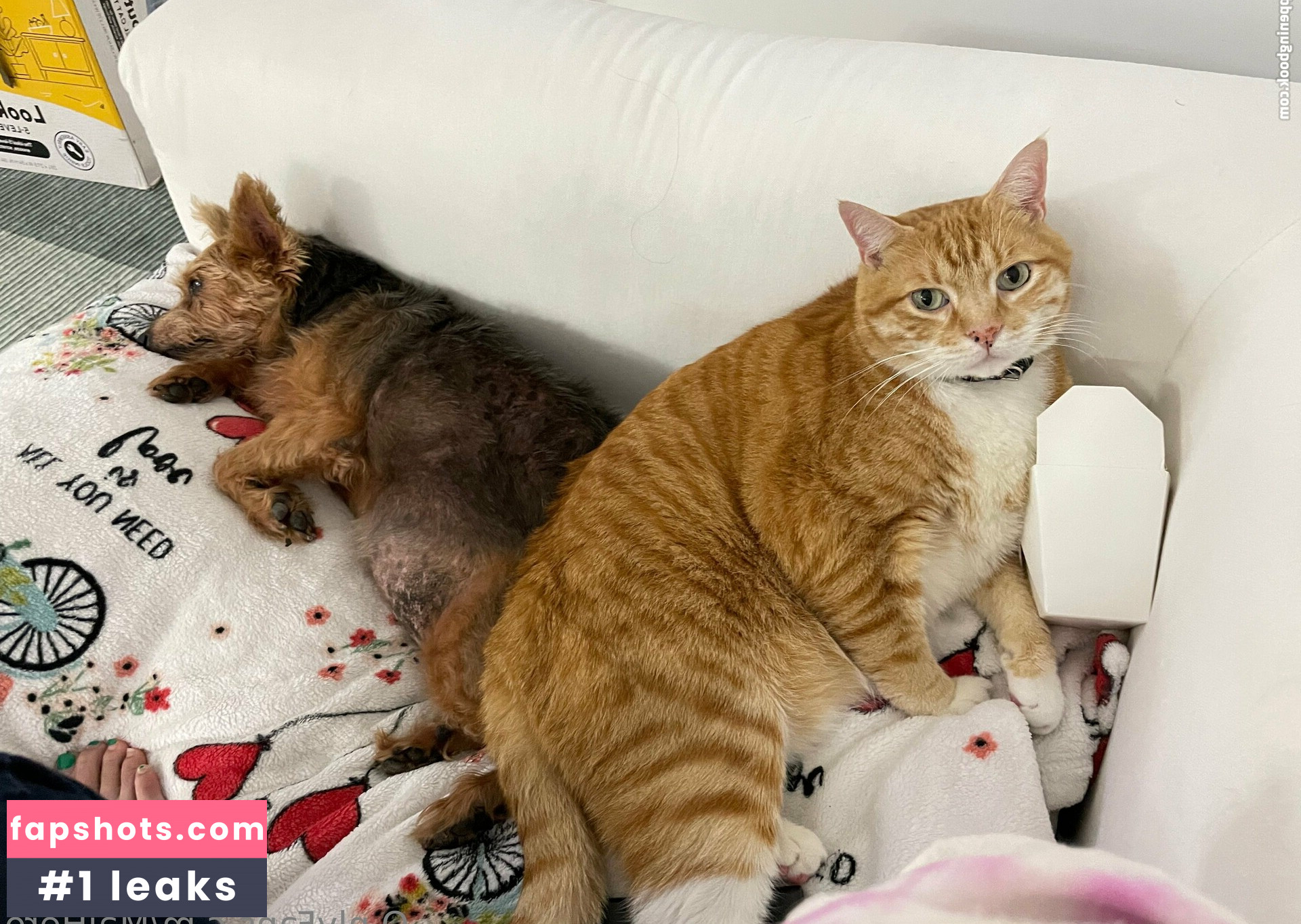 maihero Nahé úniky fotek pouze od fanoušků #28 - Fapshots