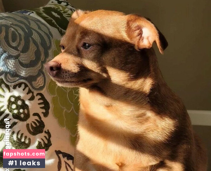 maimynyan gallery photo #244