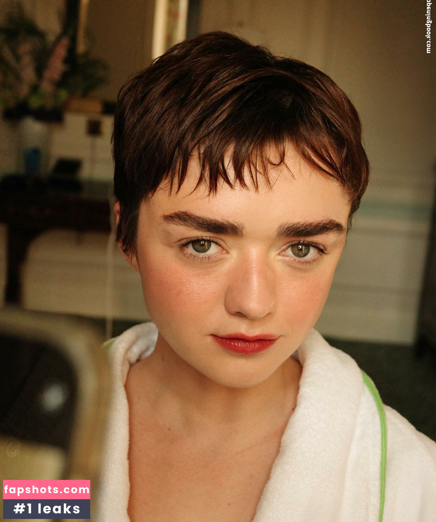 Maisie Williams Nude Leaks OnlyFans Photos #342 - LeakJerk
