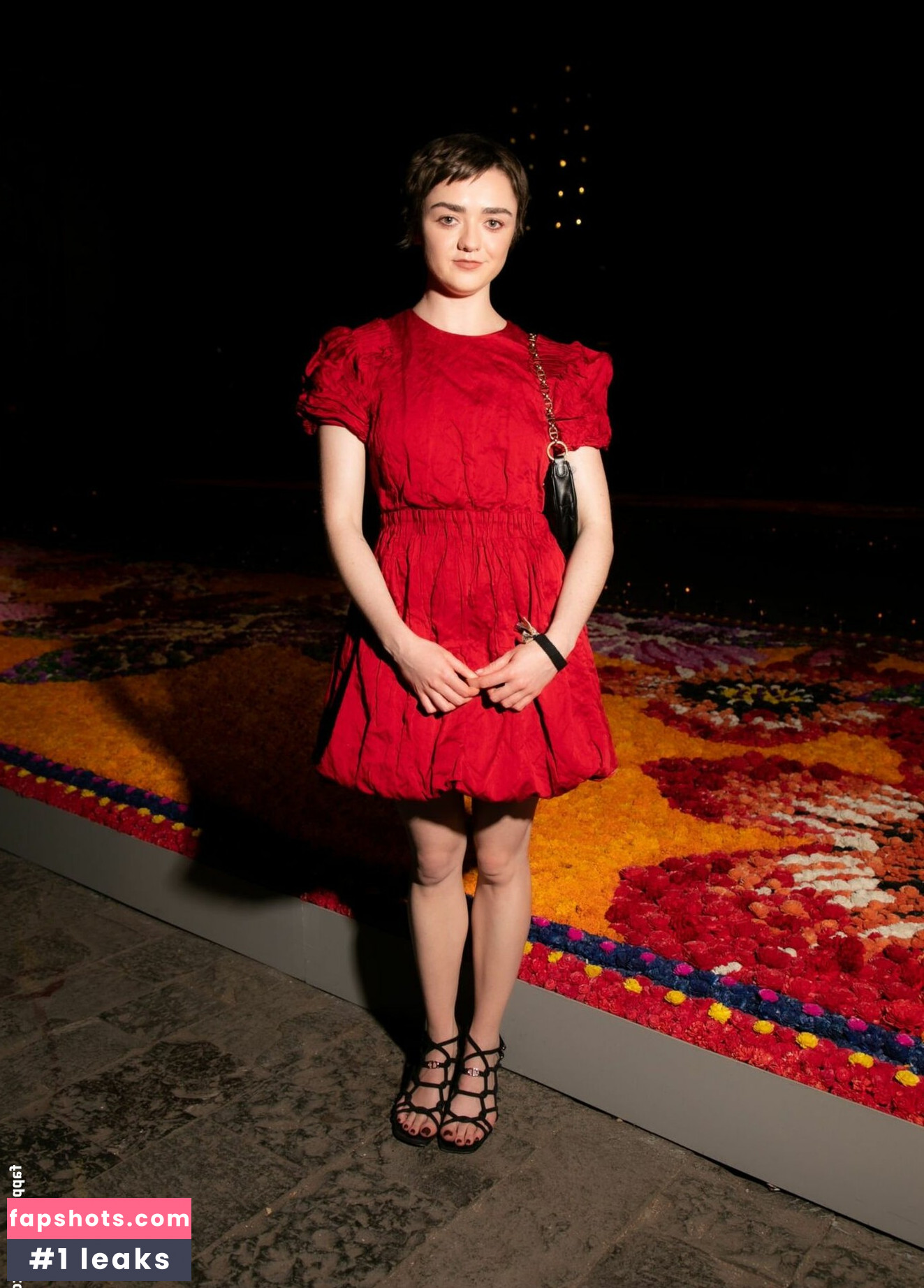 Maisie Williams Nude Leaks OnlyFans Photos #454 - LeakJerk