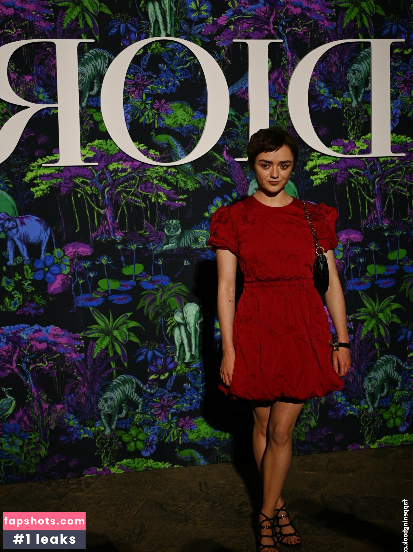 Maisie Williams Nude Leaks OnlyFans Photos #467 - LeakJerk