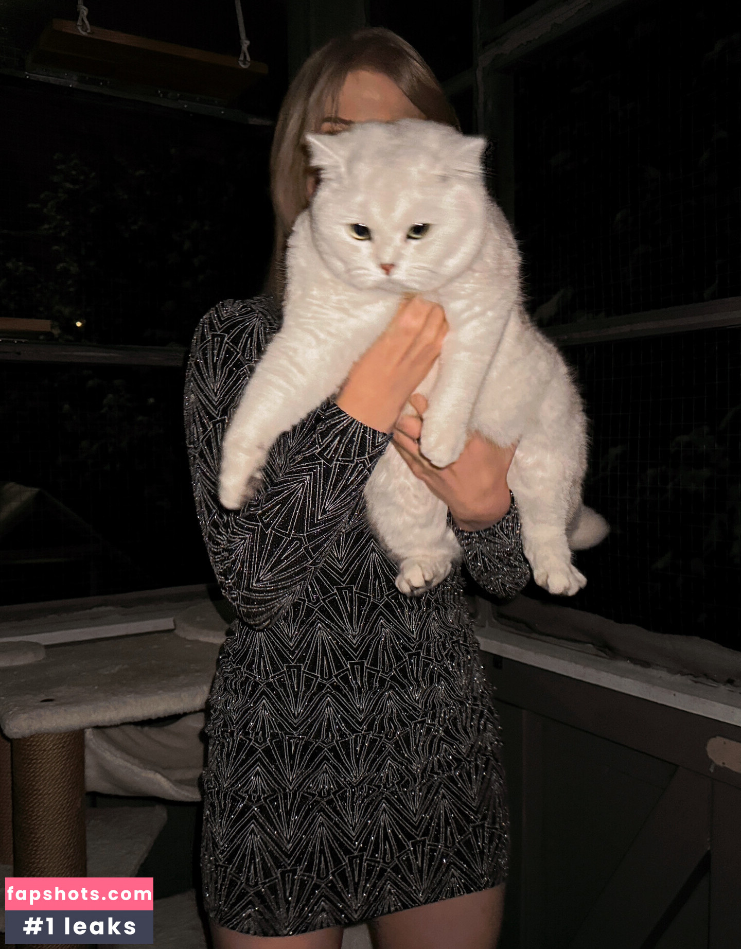 Majijej gallery photo #3