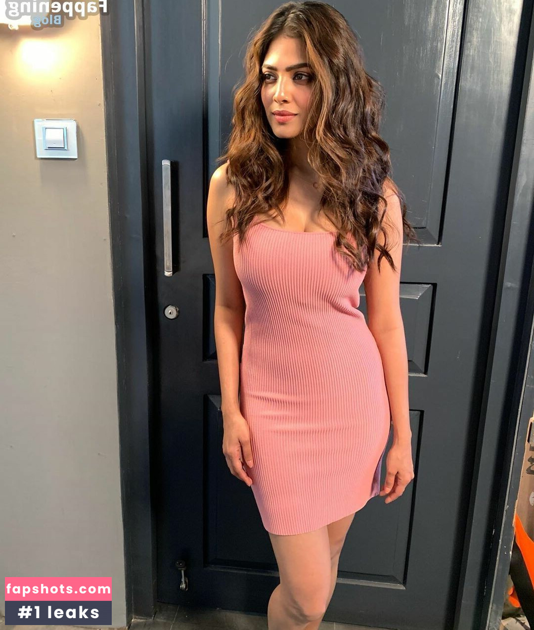 Malavika Mohanan Nude Leaks OnlyFans Photos #73 - Fapshots