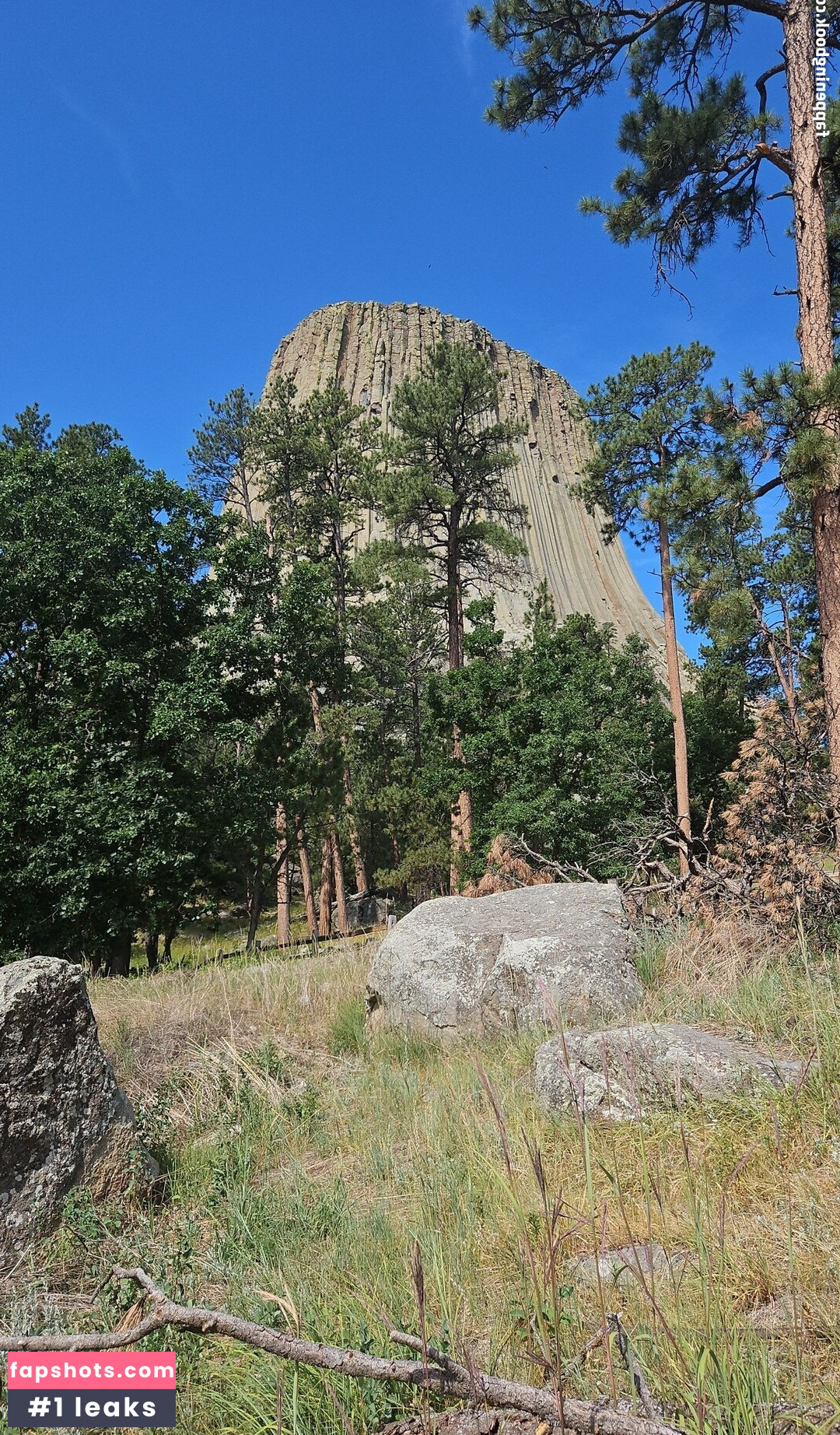 mandyfrizzle gallery photo #6