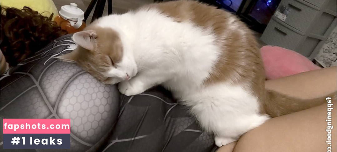 marciemoomoo gallery photo #12