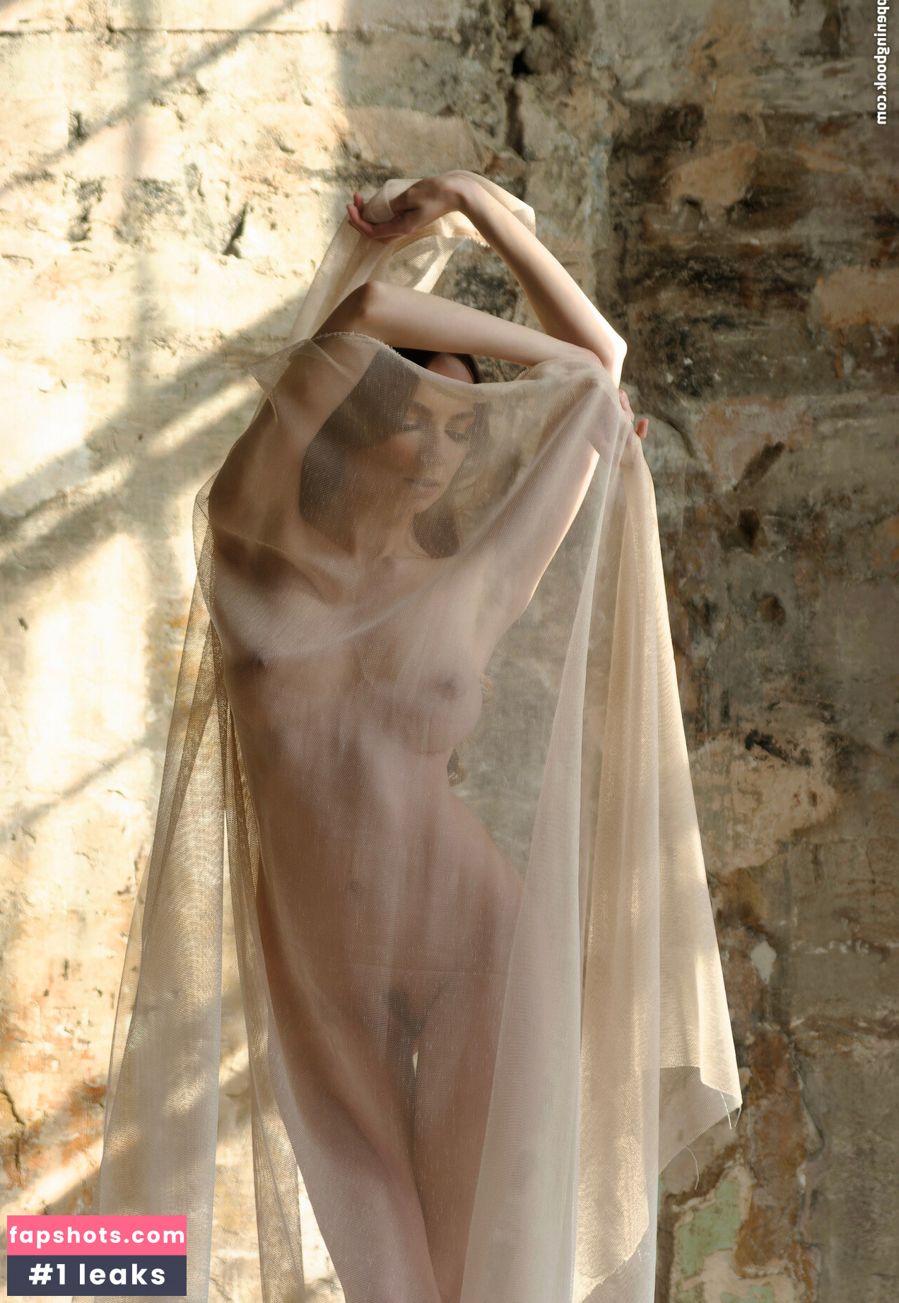 Margo Amp gallery photo #19