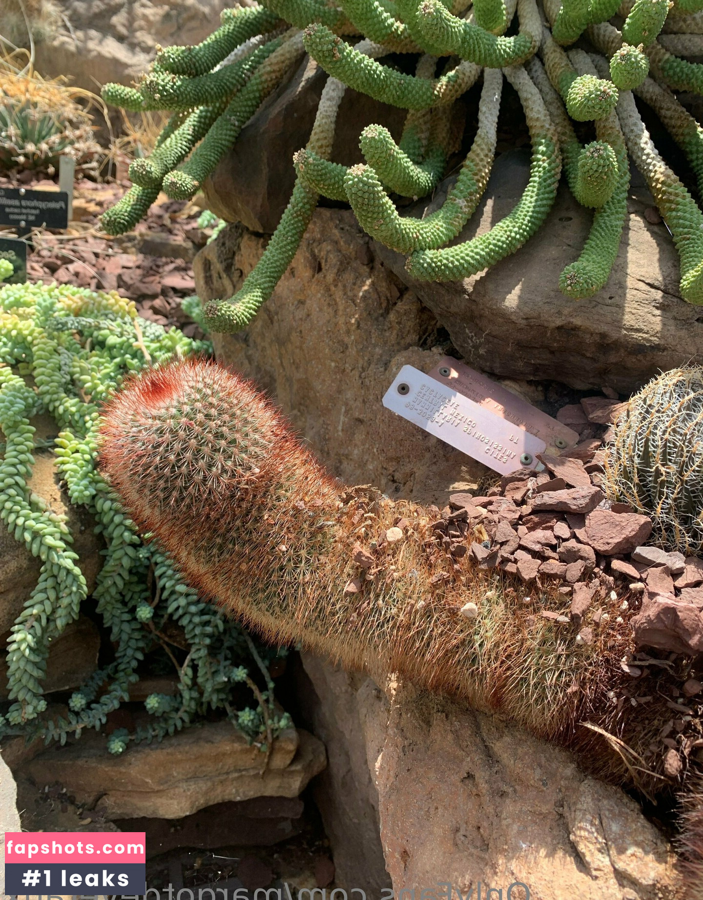 margotdeveraux gallery photo #25