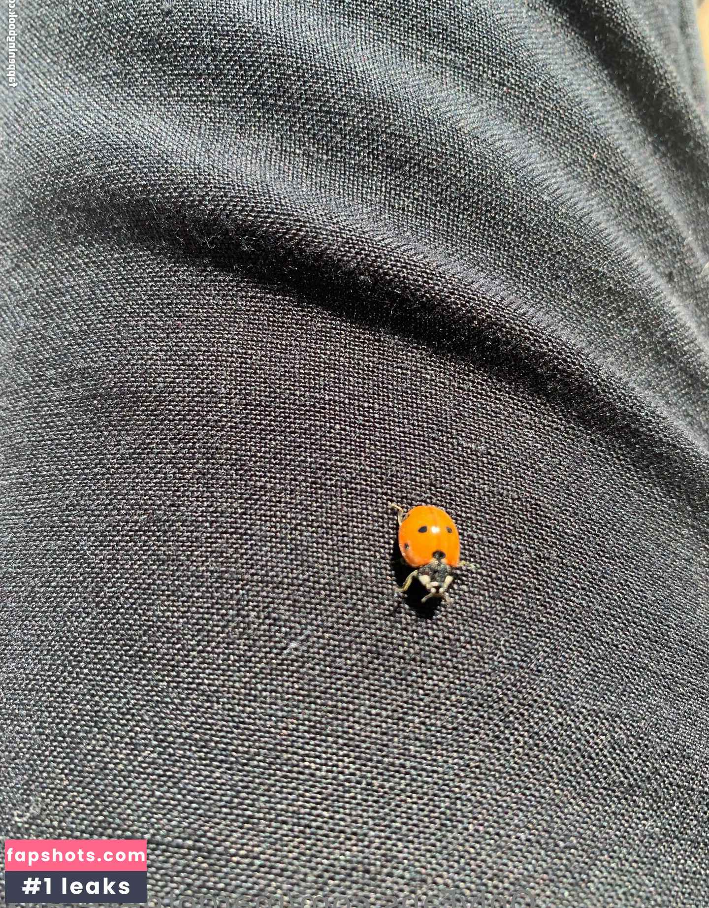 margotdeveraux gallery photo #34