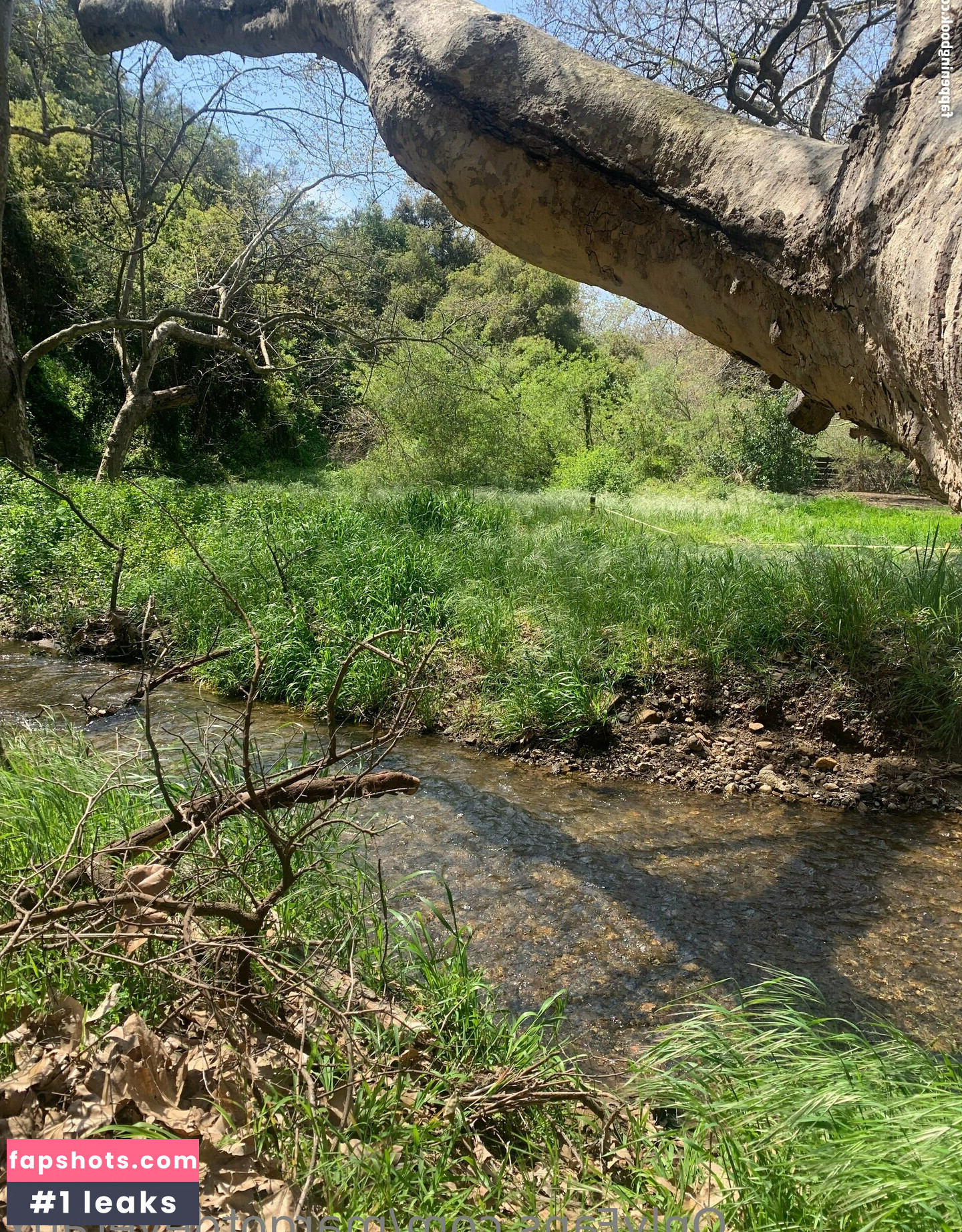 margotdeveraux gallery photo #39