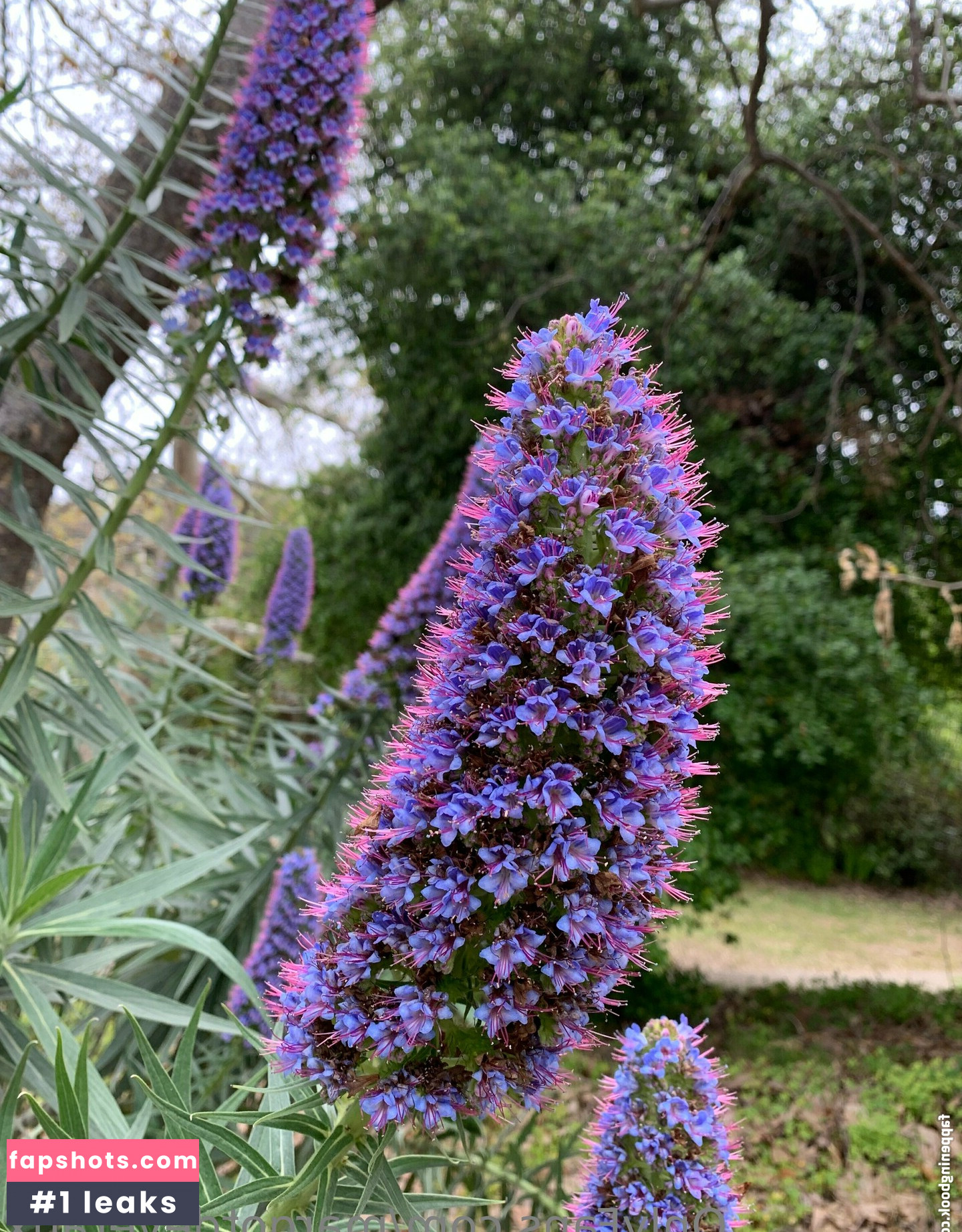 margotdeveraux gallery photo #51