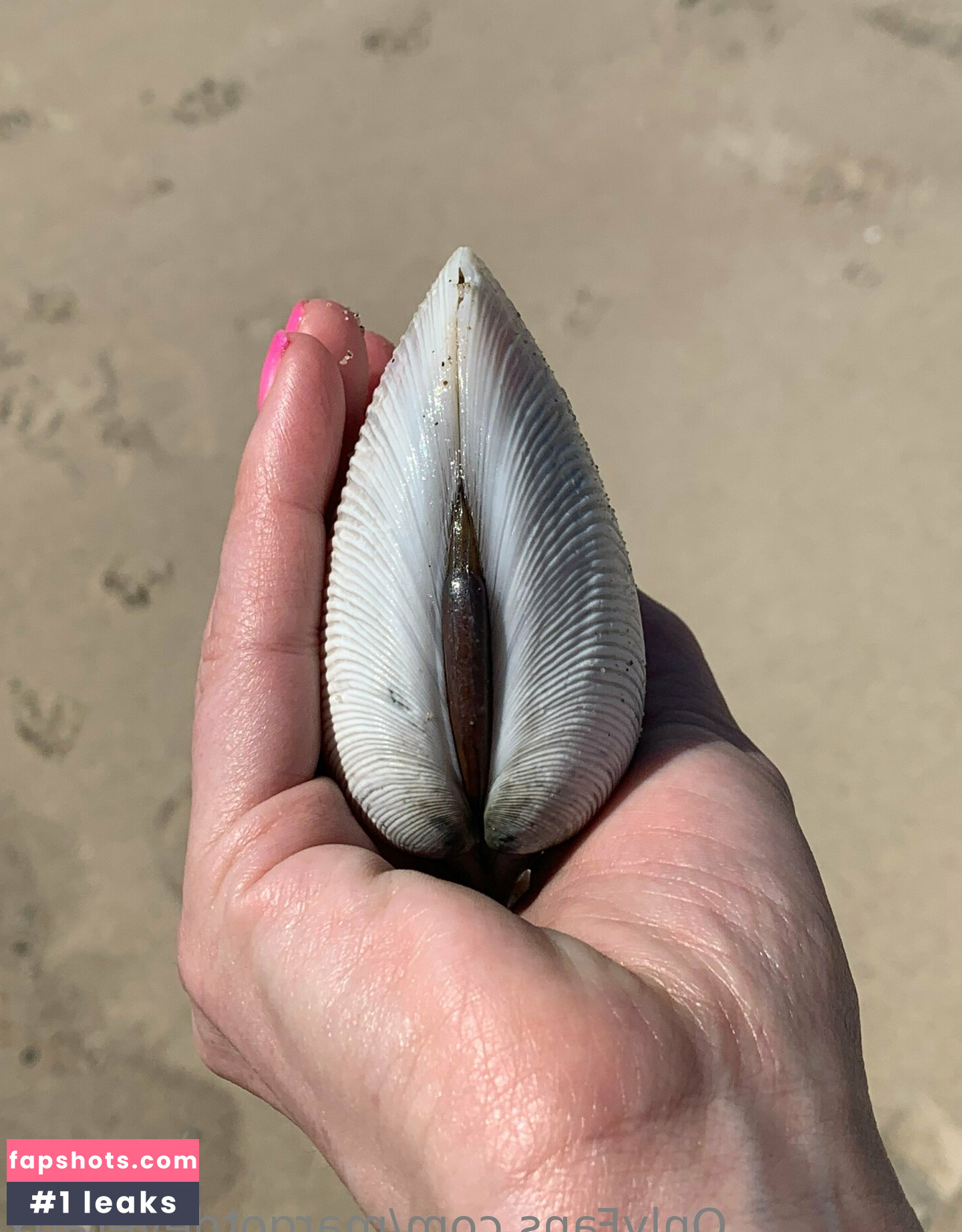 margotdeveraux gallery photo #58