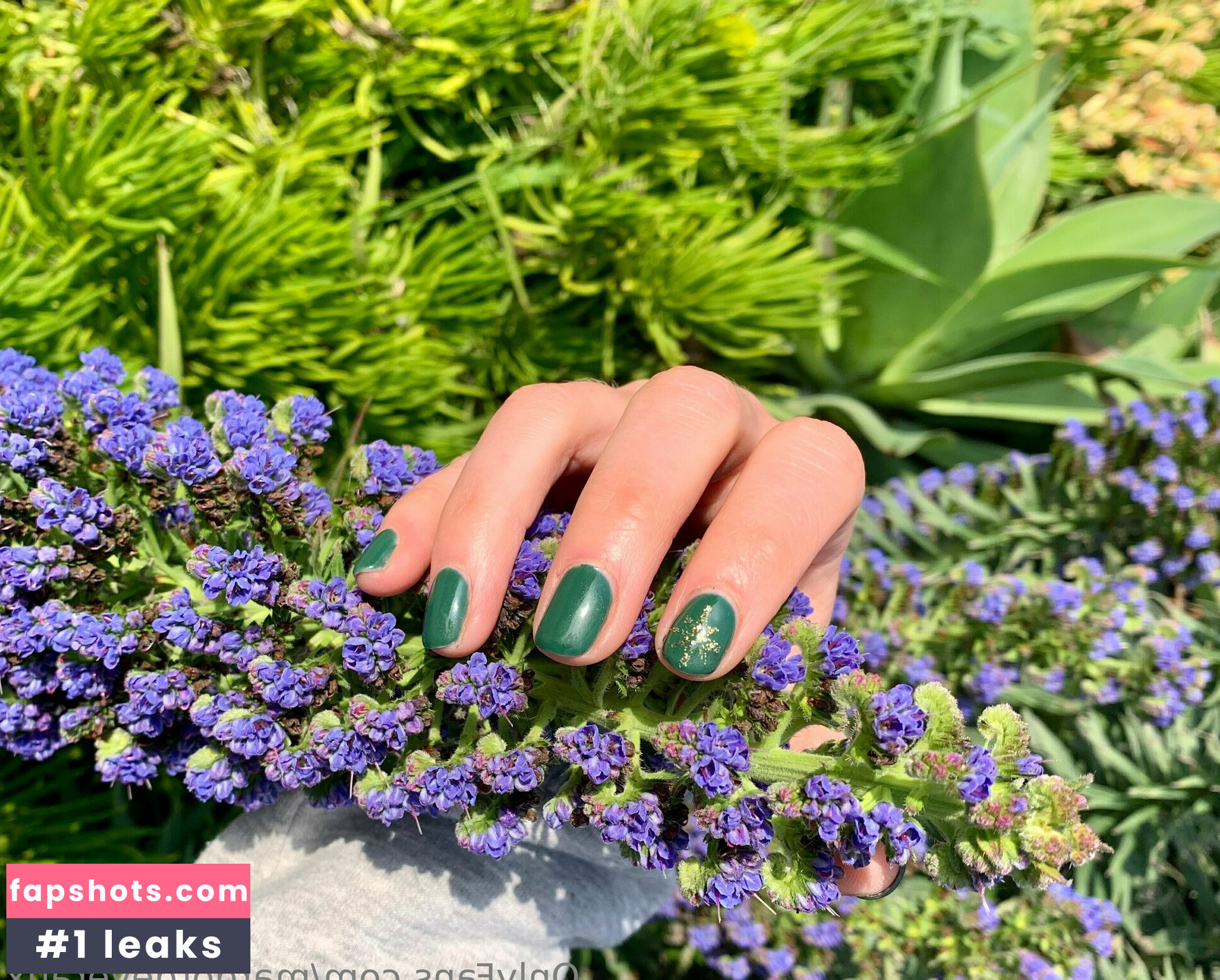 margotdeveraux gallery photo #62