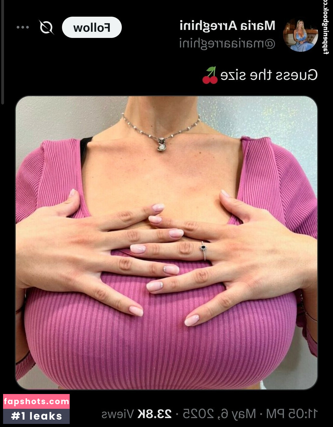 Maria Arreghini gallery photo #29